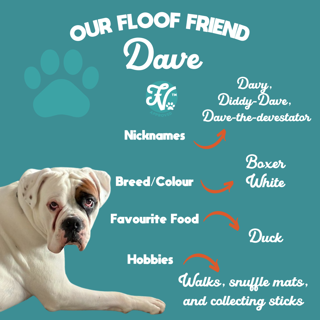 New Floof Friends 2 - 5.png