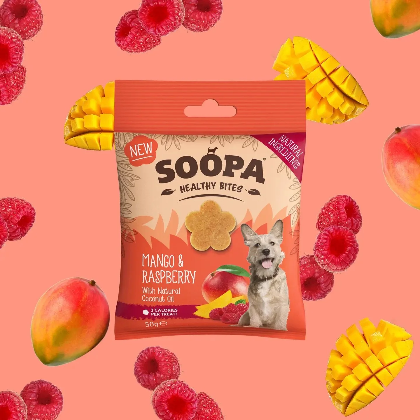 Mango & Raspberry Dog Treats