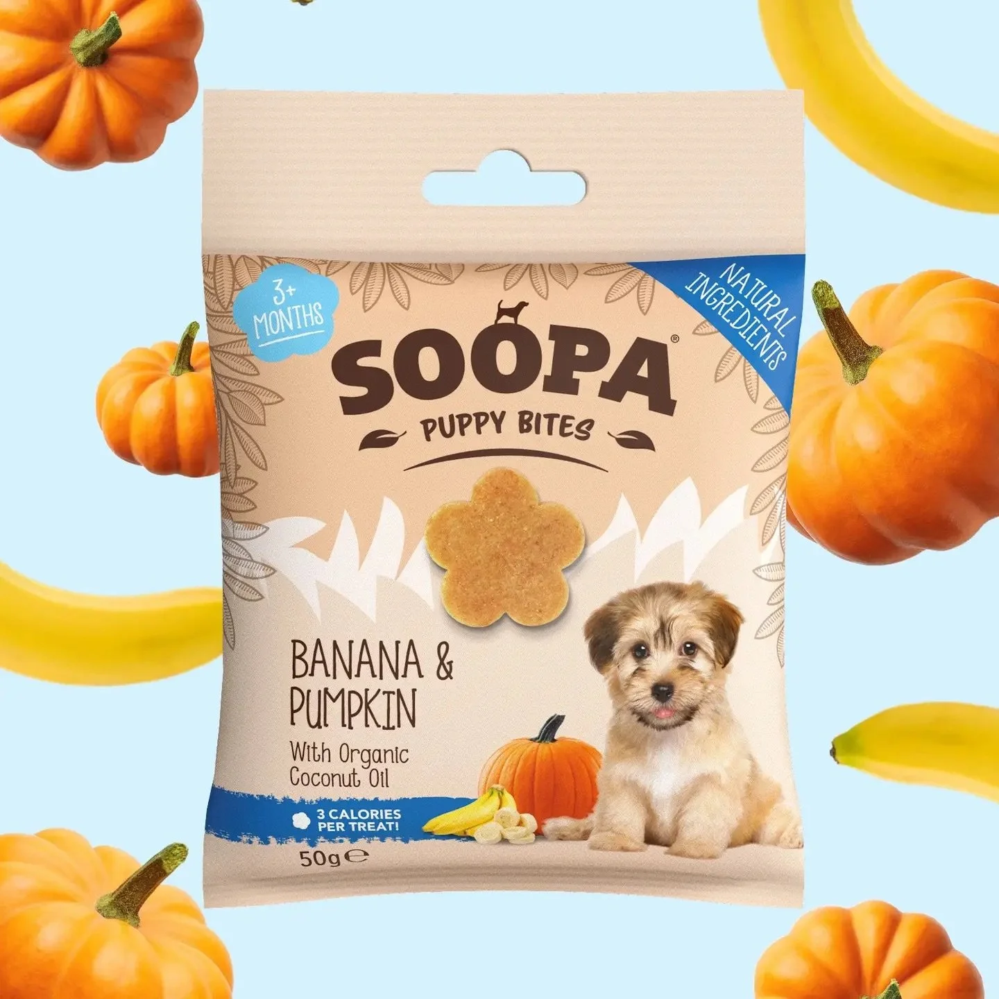 Banana & Pumpkin Puppy.jpeg