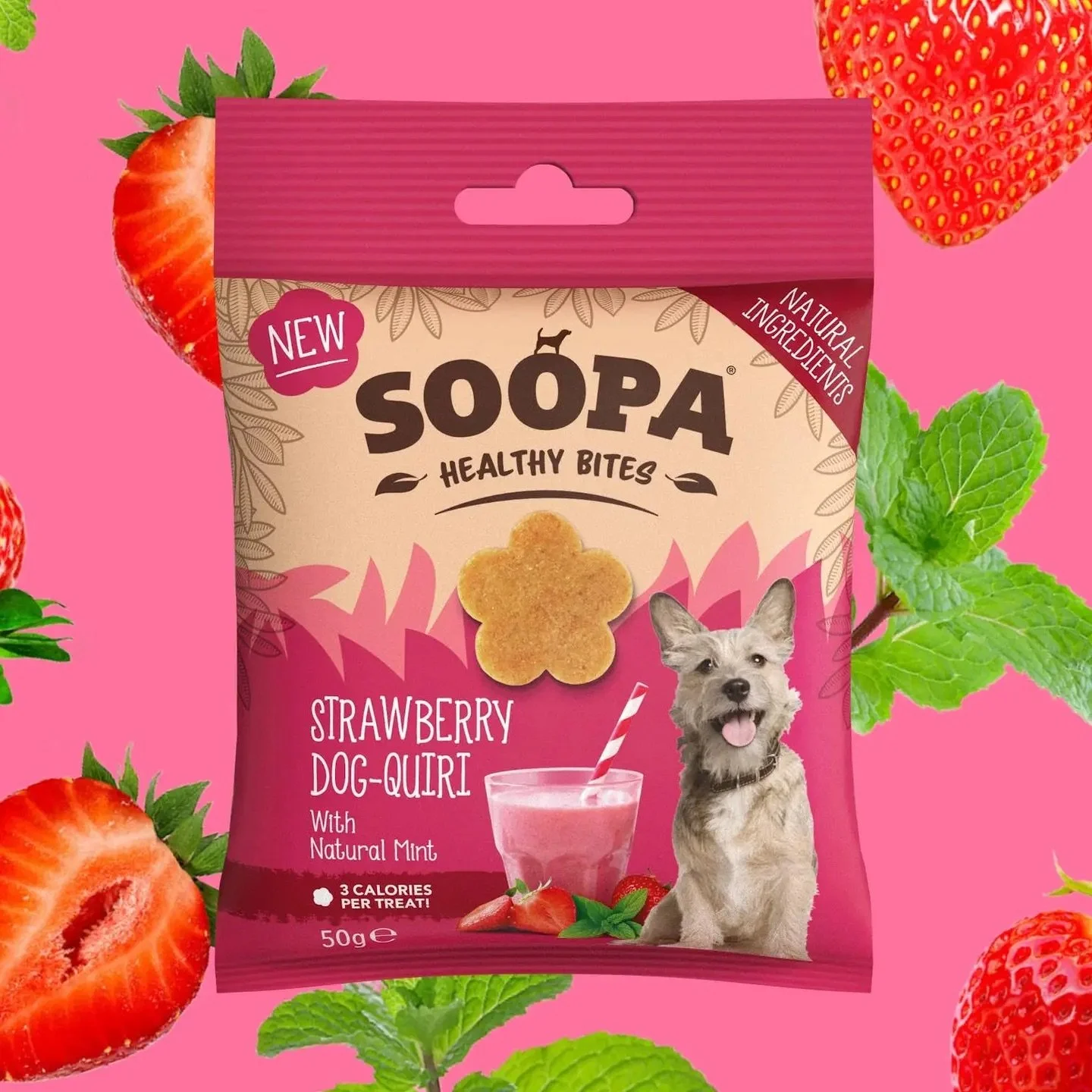 Strawberry & Coco-Cream Cupcake Dog Treats