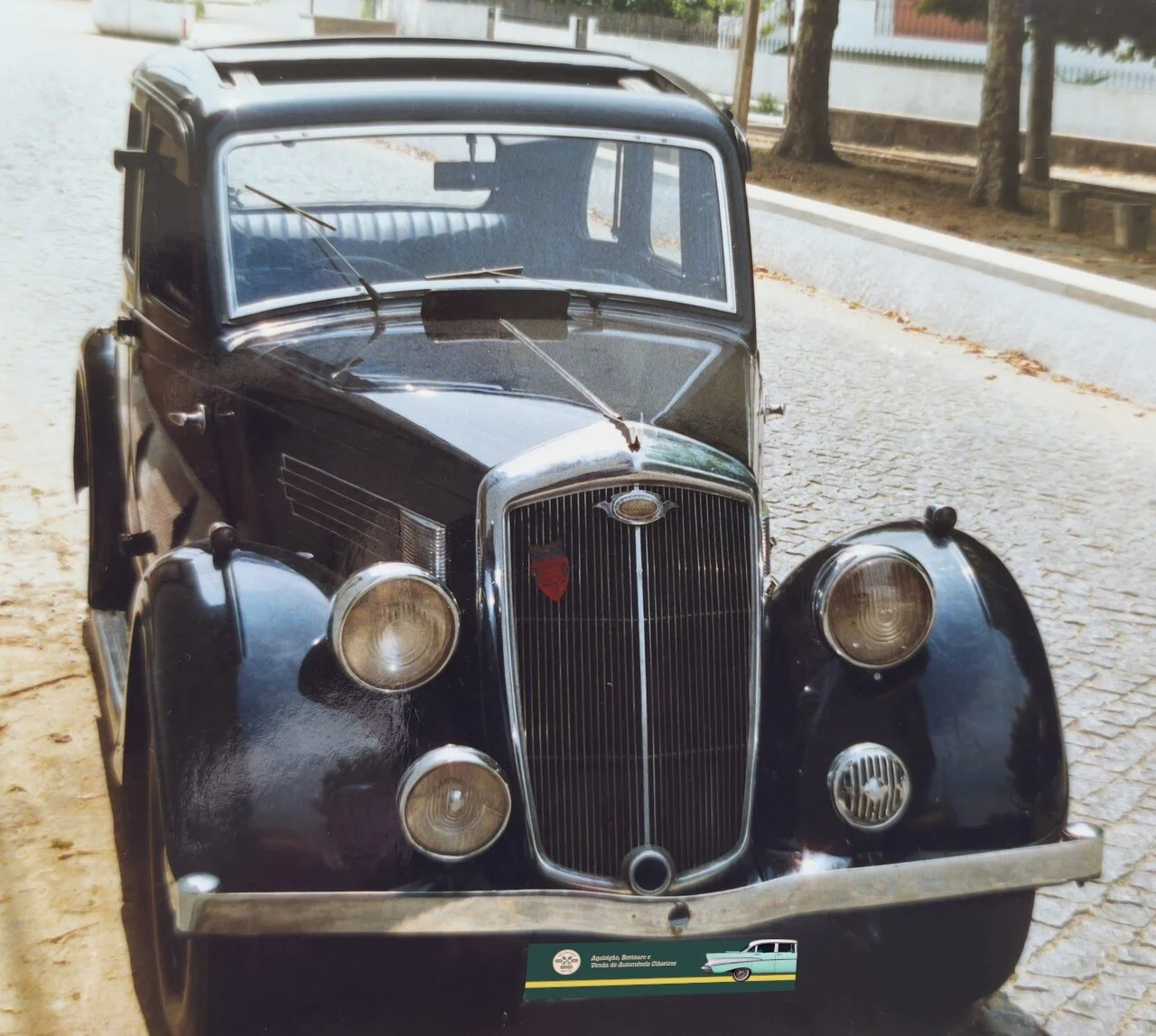 04.jpg