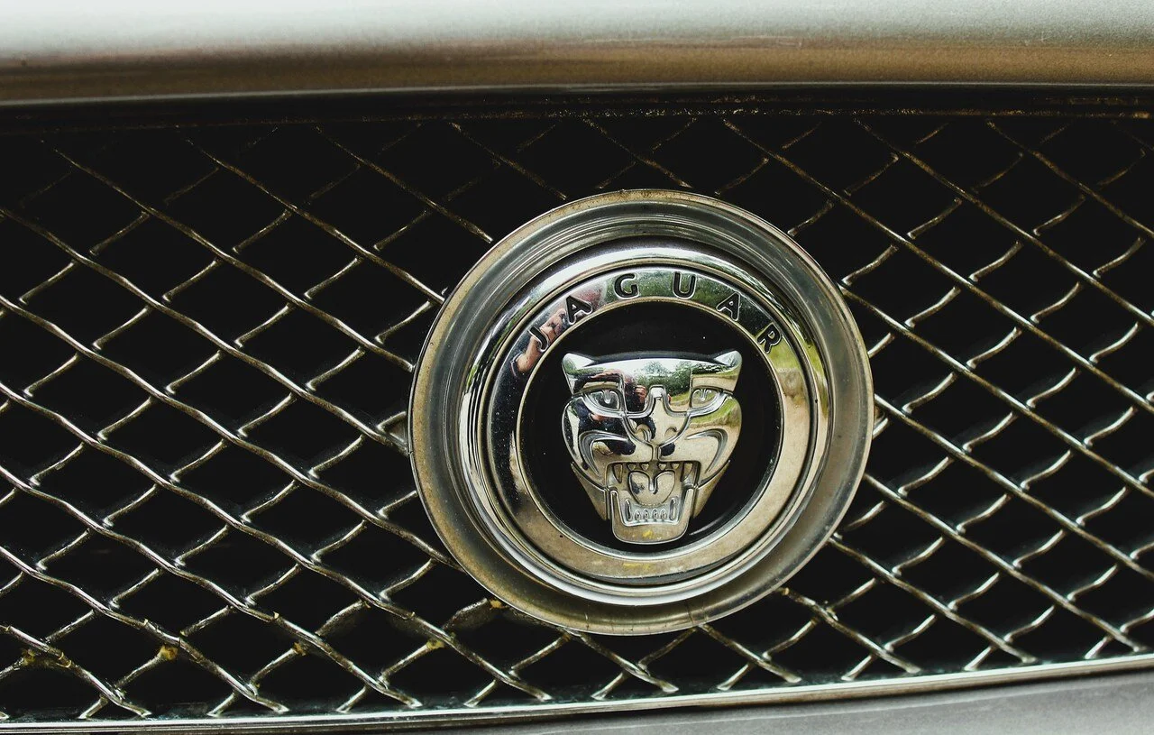 49.JPG