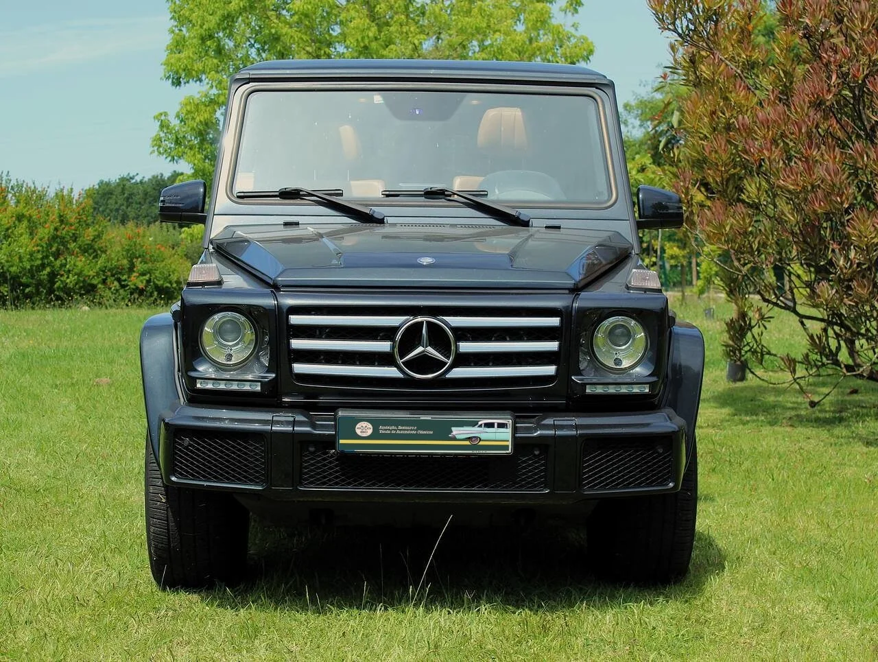01.JPG