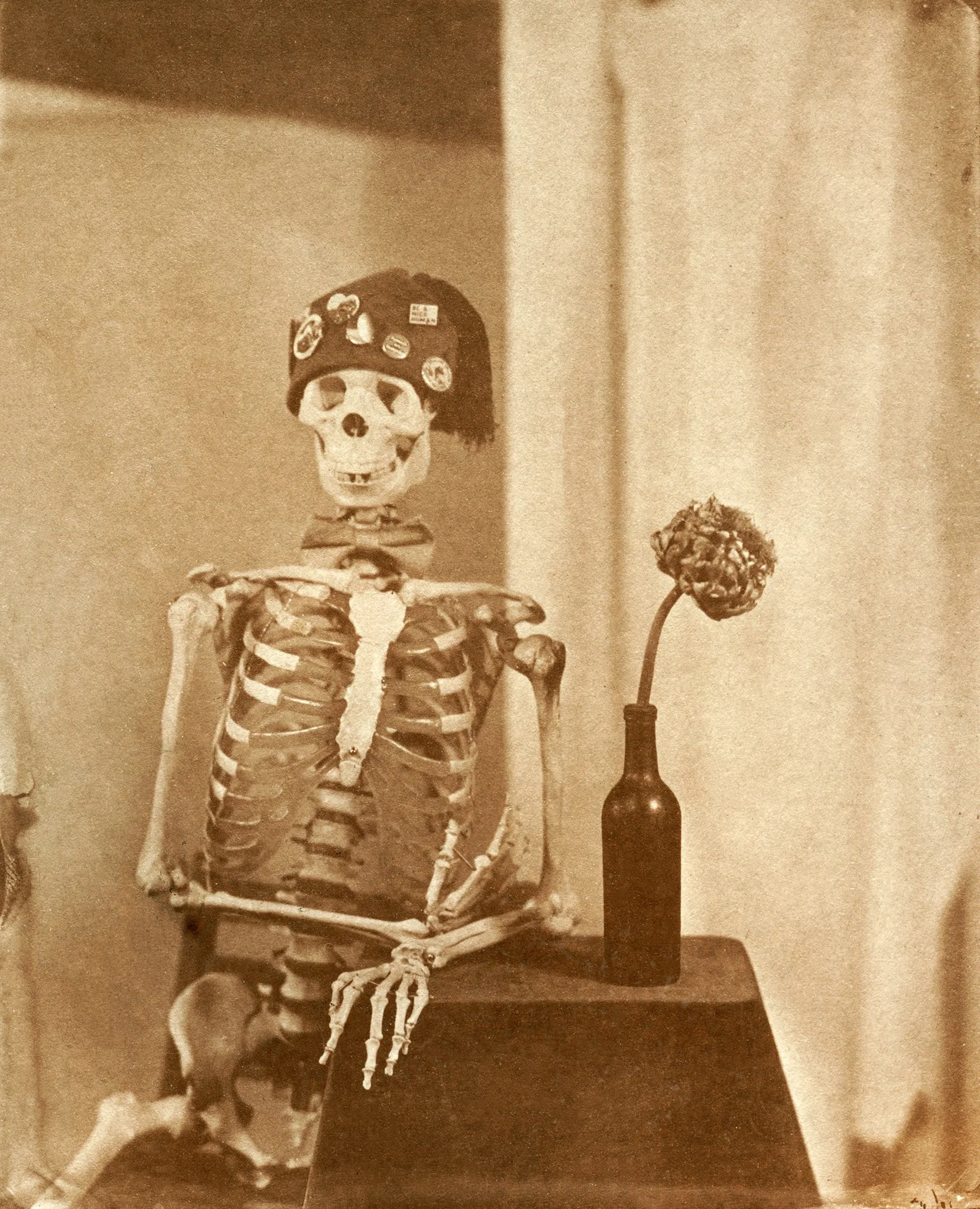 wet plate collodion, wet plate negative, albumen printing, darkroom, alternative process, photography, Bristol