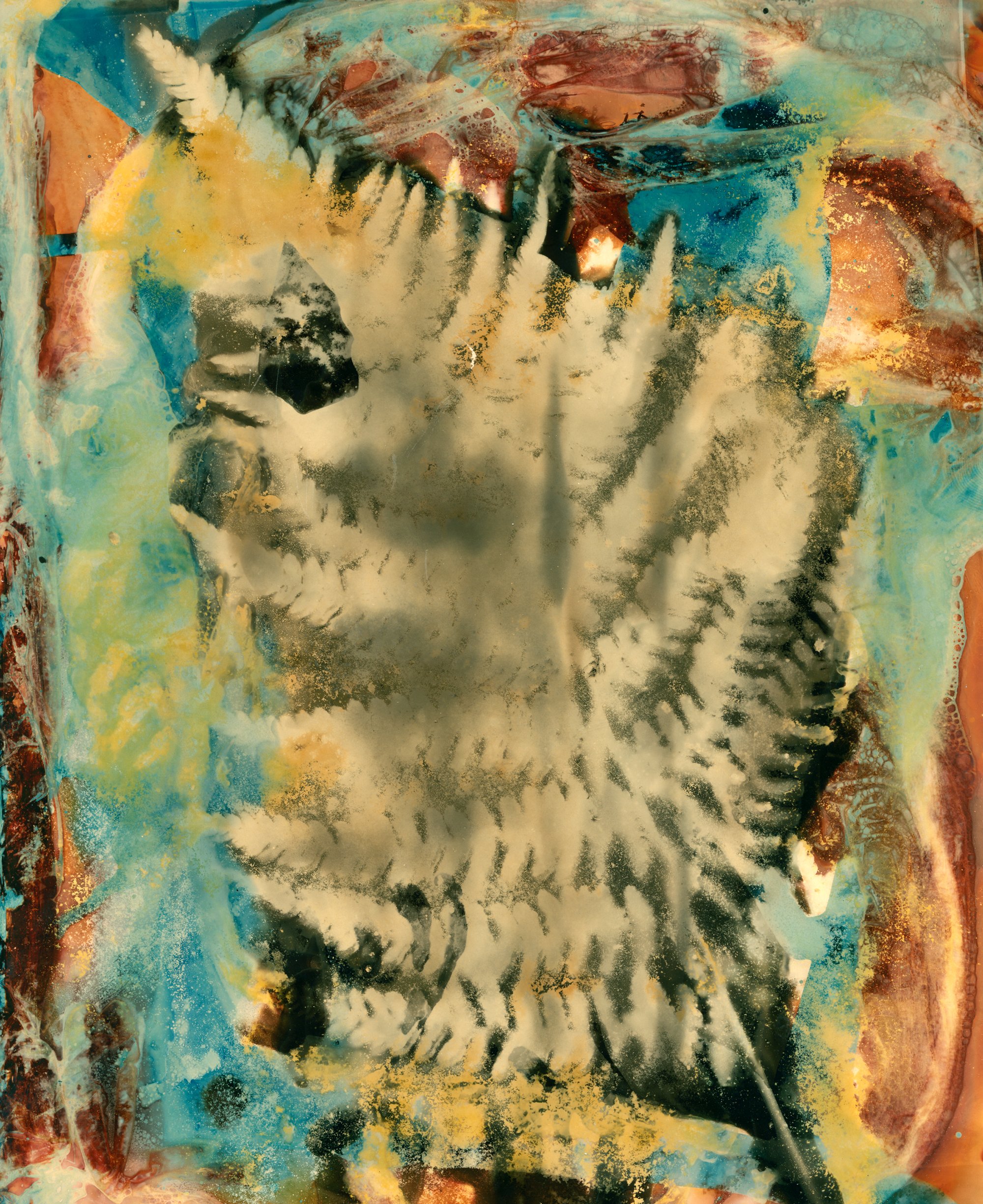 cyanolumen, cyanotype, alternative process, abstract photography