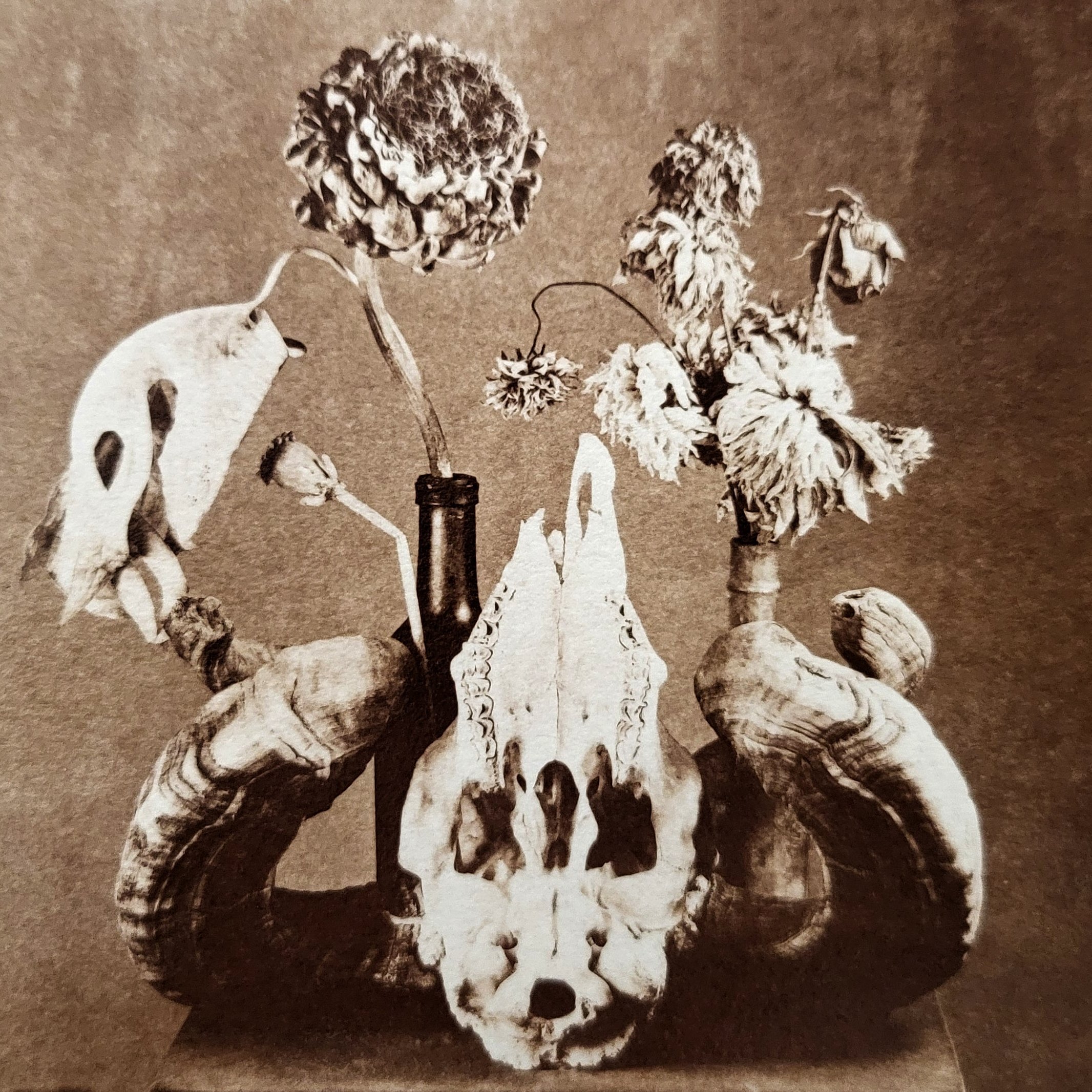 Kallitype, alternative photography, alternative process, historic photo, darkroom, film photography, analogue, black and white photography