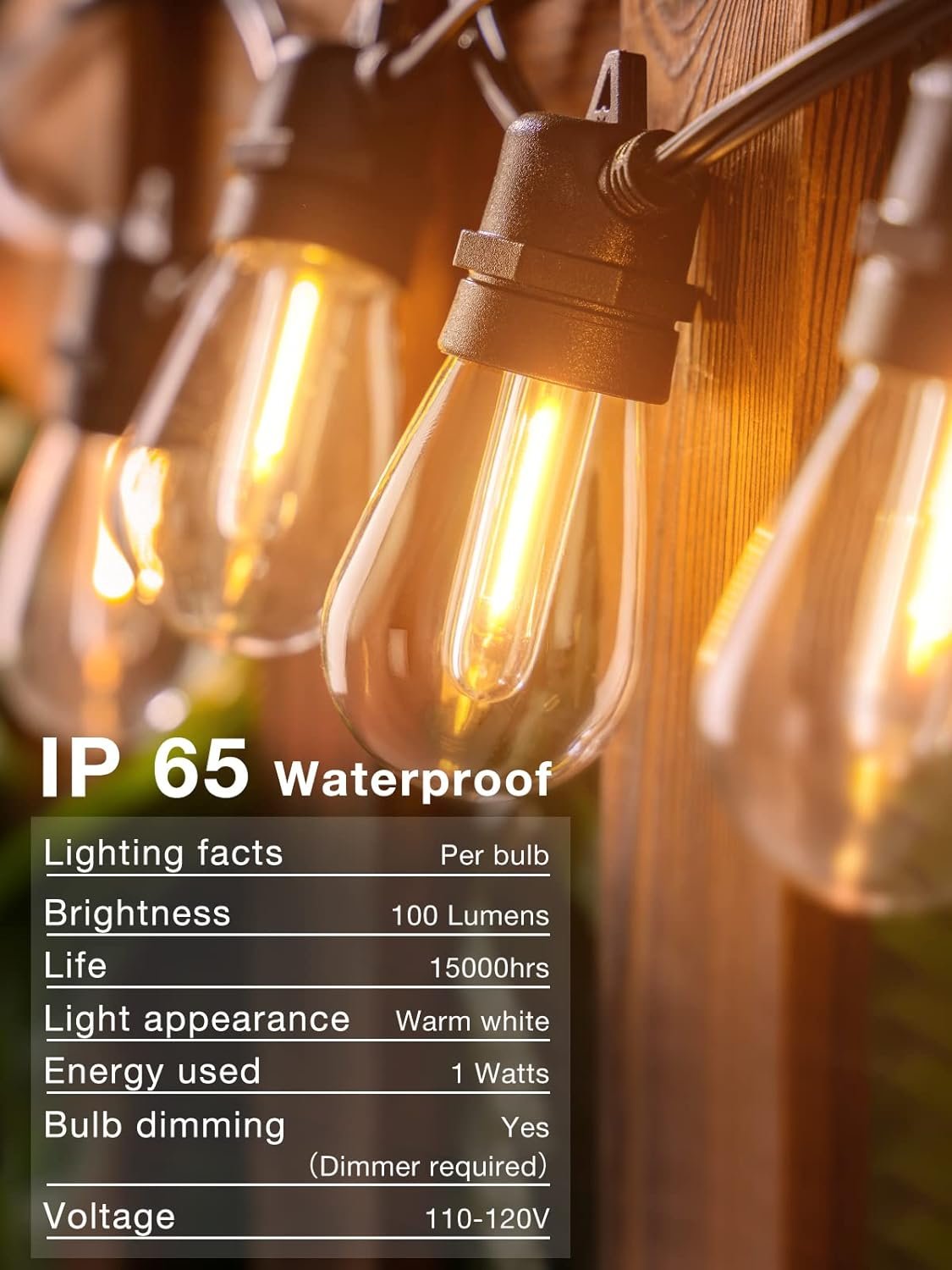 string lights.jpg