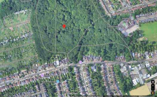 Obsessed Number One Superfan 