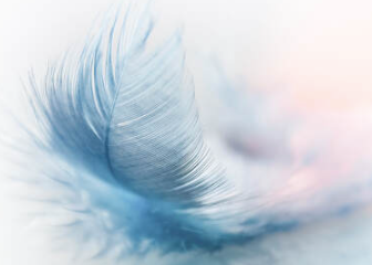 Close-up of a soft blue feather on a light background.