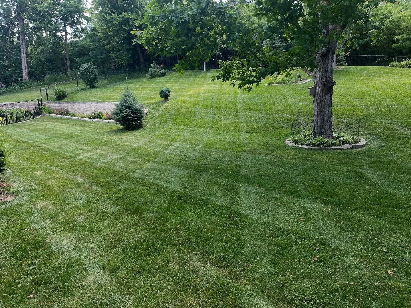 A look at what we&rsquo;ve been up to the last couple of weeks! Mowing, yard cleanups, sidewalk edging, and more! Message me with any yard work you might want done!