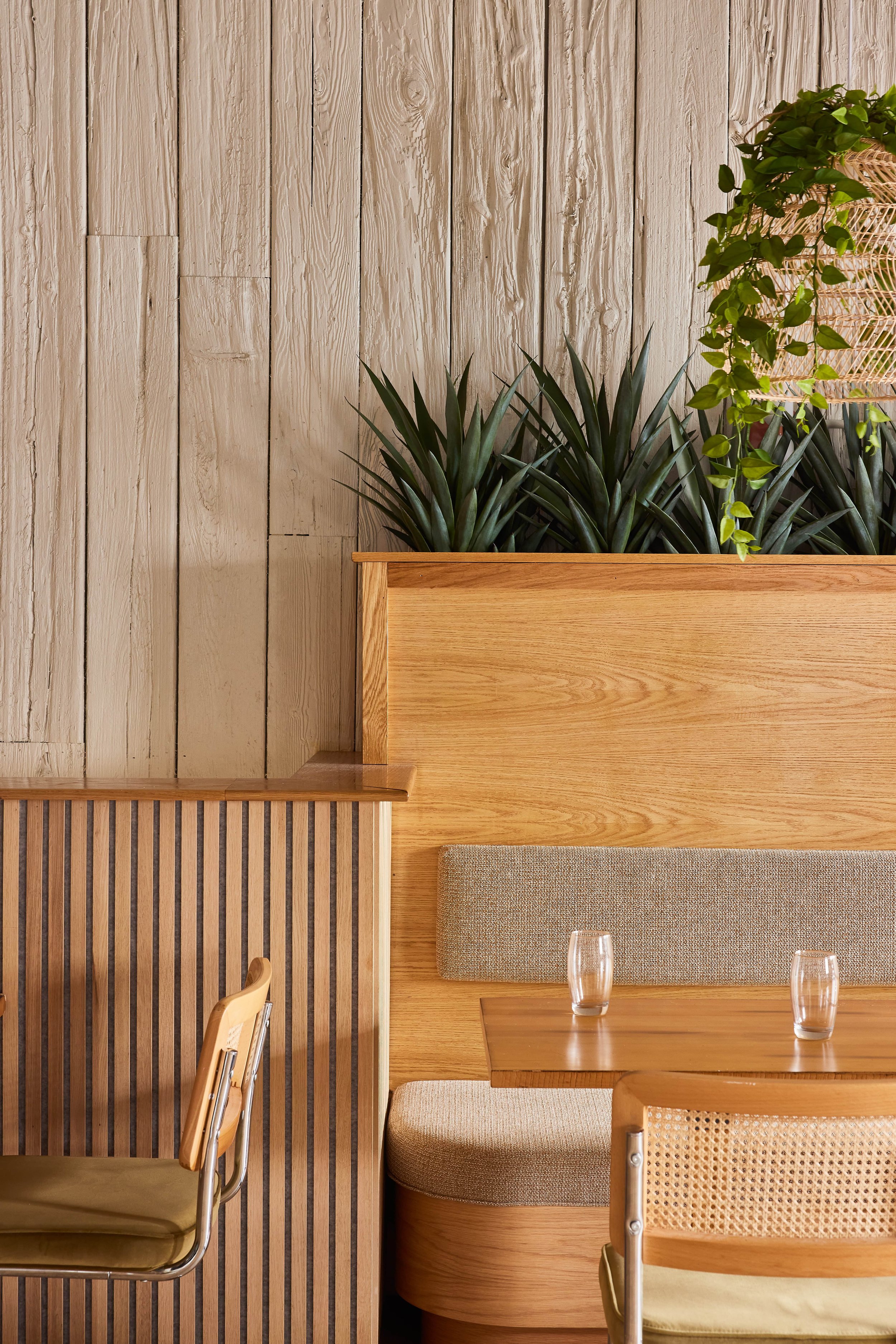 agave-restaurant_18.jpg