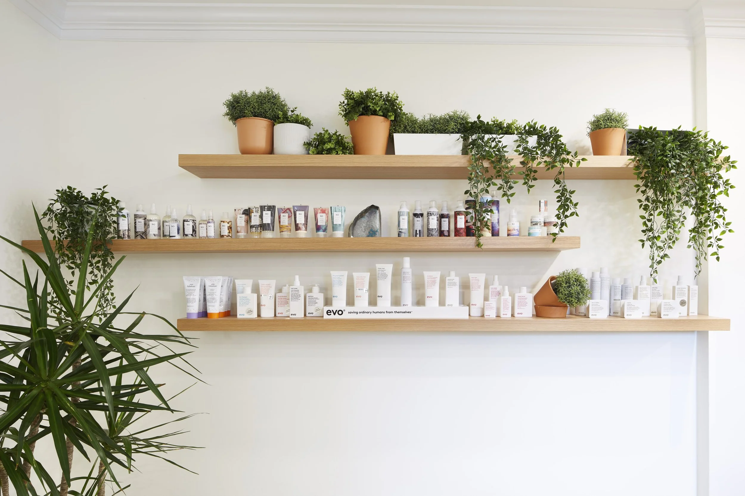 noble-bear-salon_11.jpg