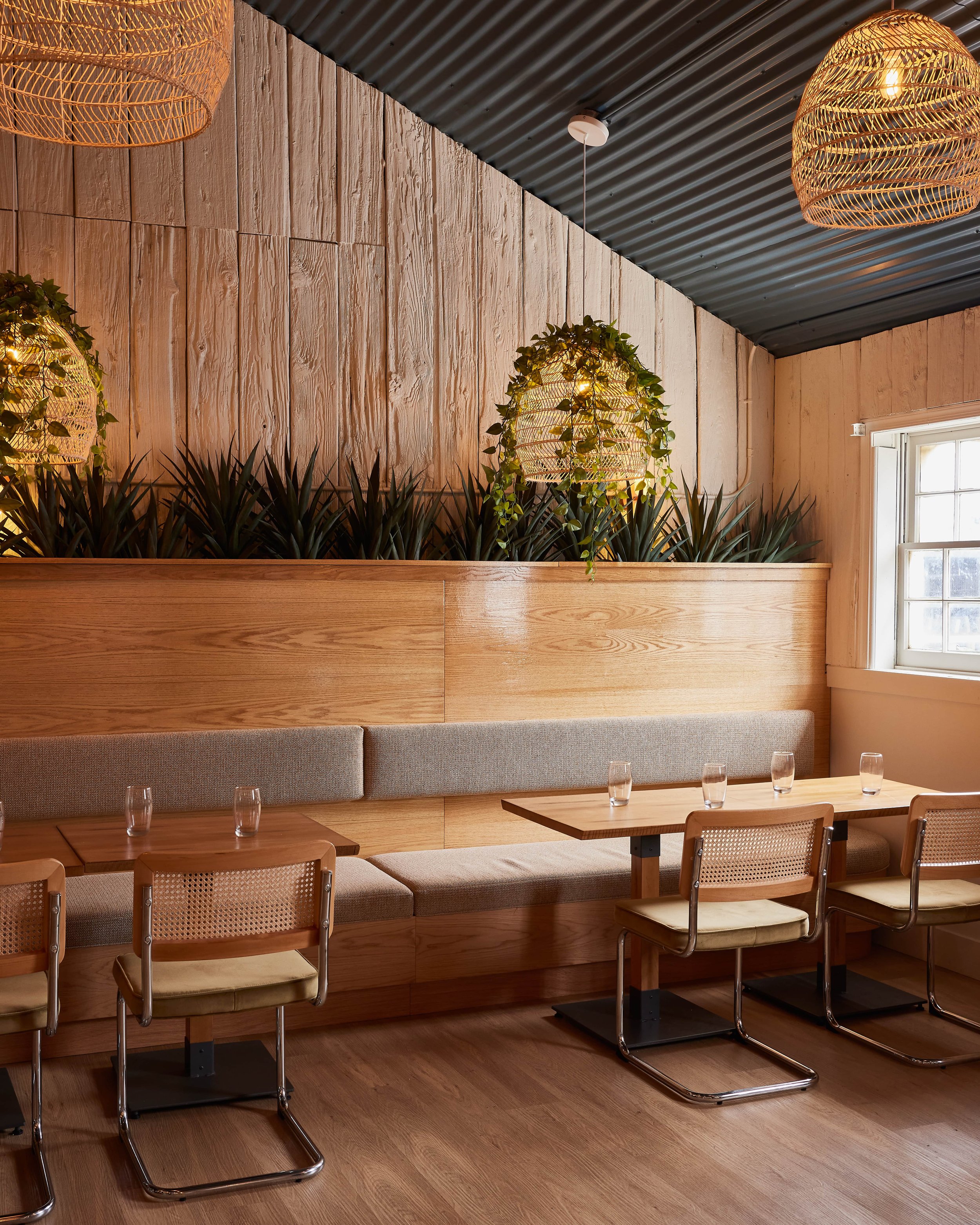 agave-restaurant_17.jpg