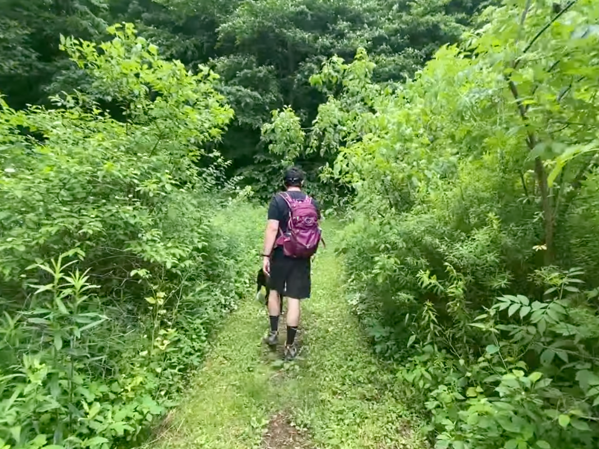 Man and dog walk through forested trail.