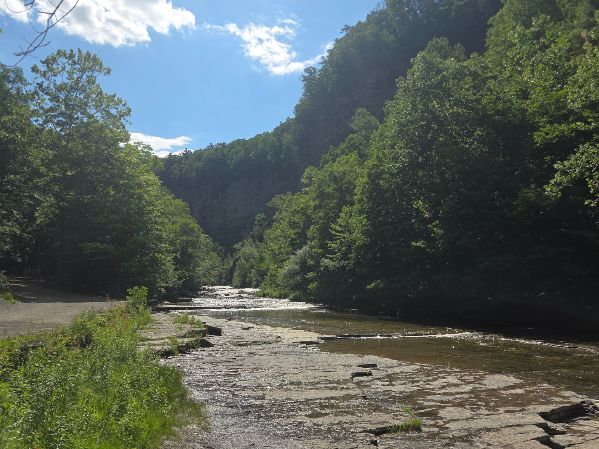 Shallow water flowing downstream from Taughannock Falls