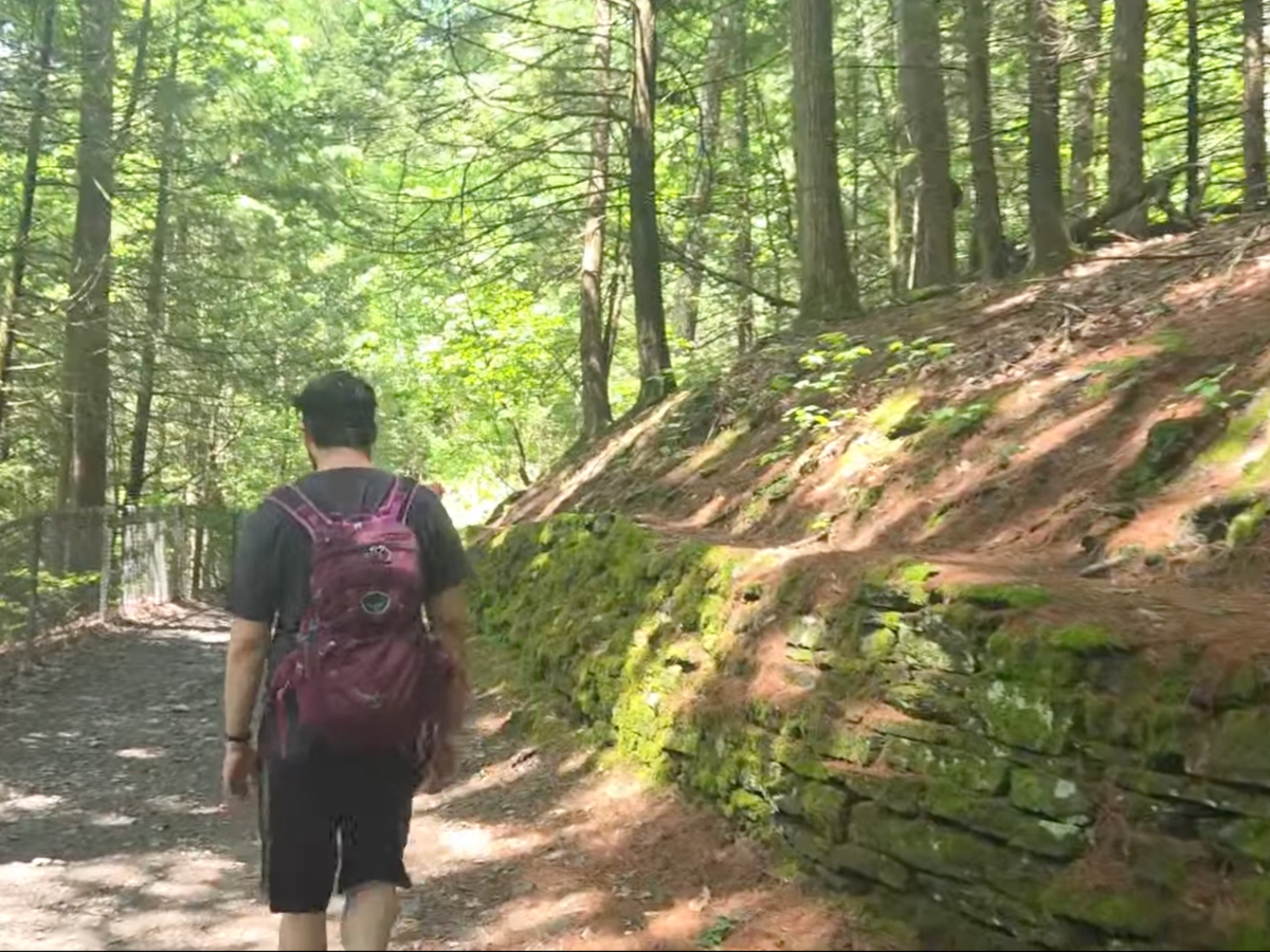 Man walking on Watkins Glen Rim trail.