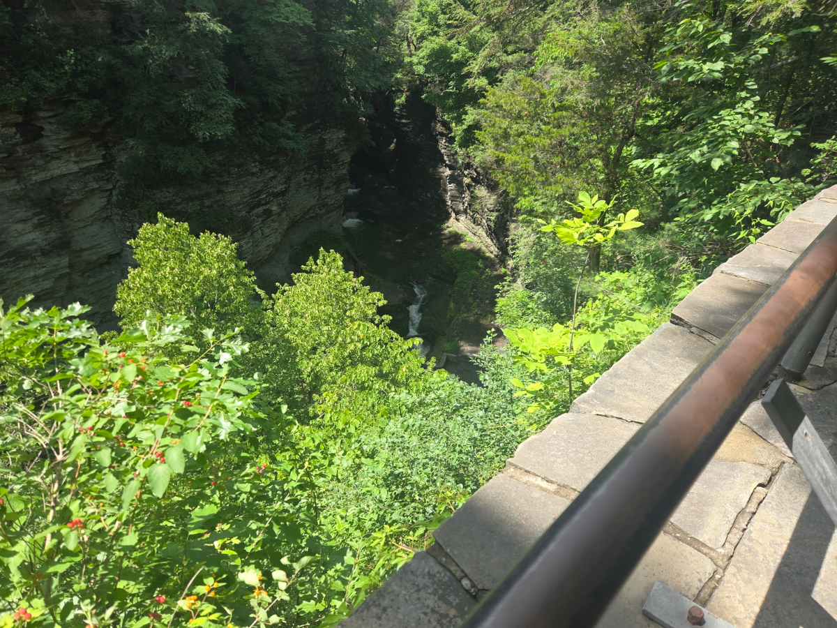 Look out over rim trail at Watkins Glen gorge trail.