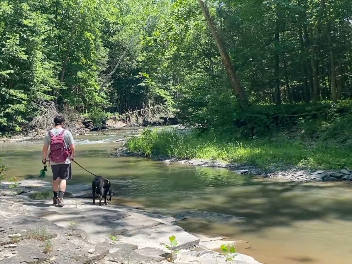 A man and a dog walk along a creek