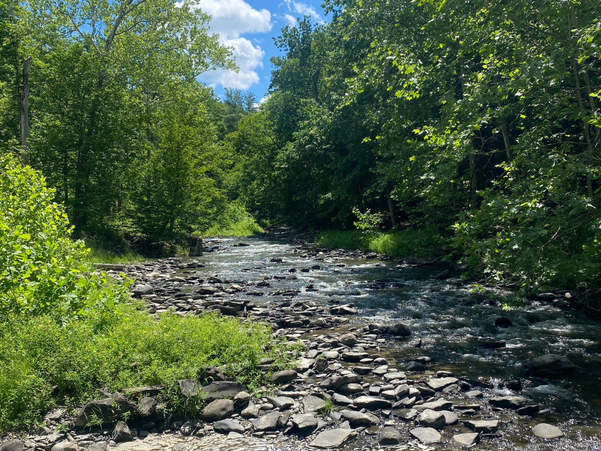 Flowing water along a stream at 6 mile creek.