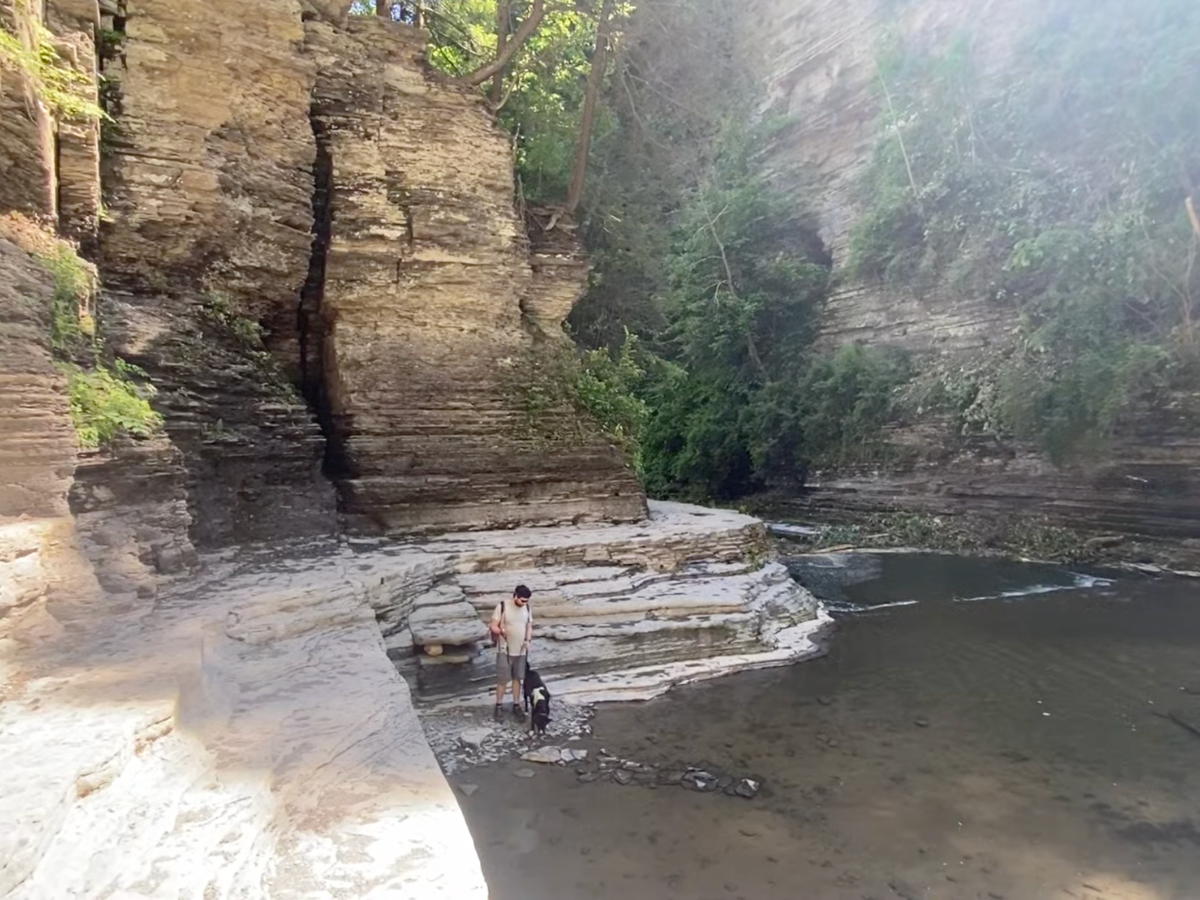 Man and a dog walking near the water in a gorge trail.