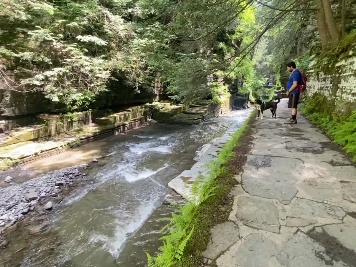 Man and a dog looking at a stream of water surrounded by two stone walking trails.