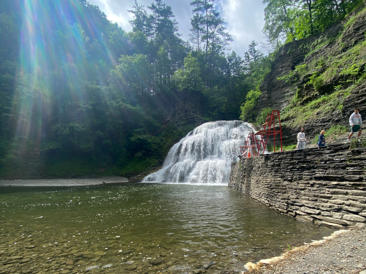 Robert H. Treman swimming area with diving board. 