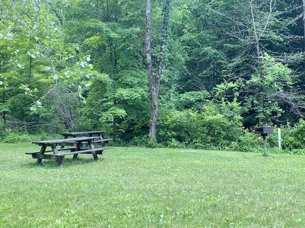 A picnic table and an cooking area at the park.