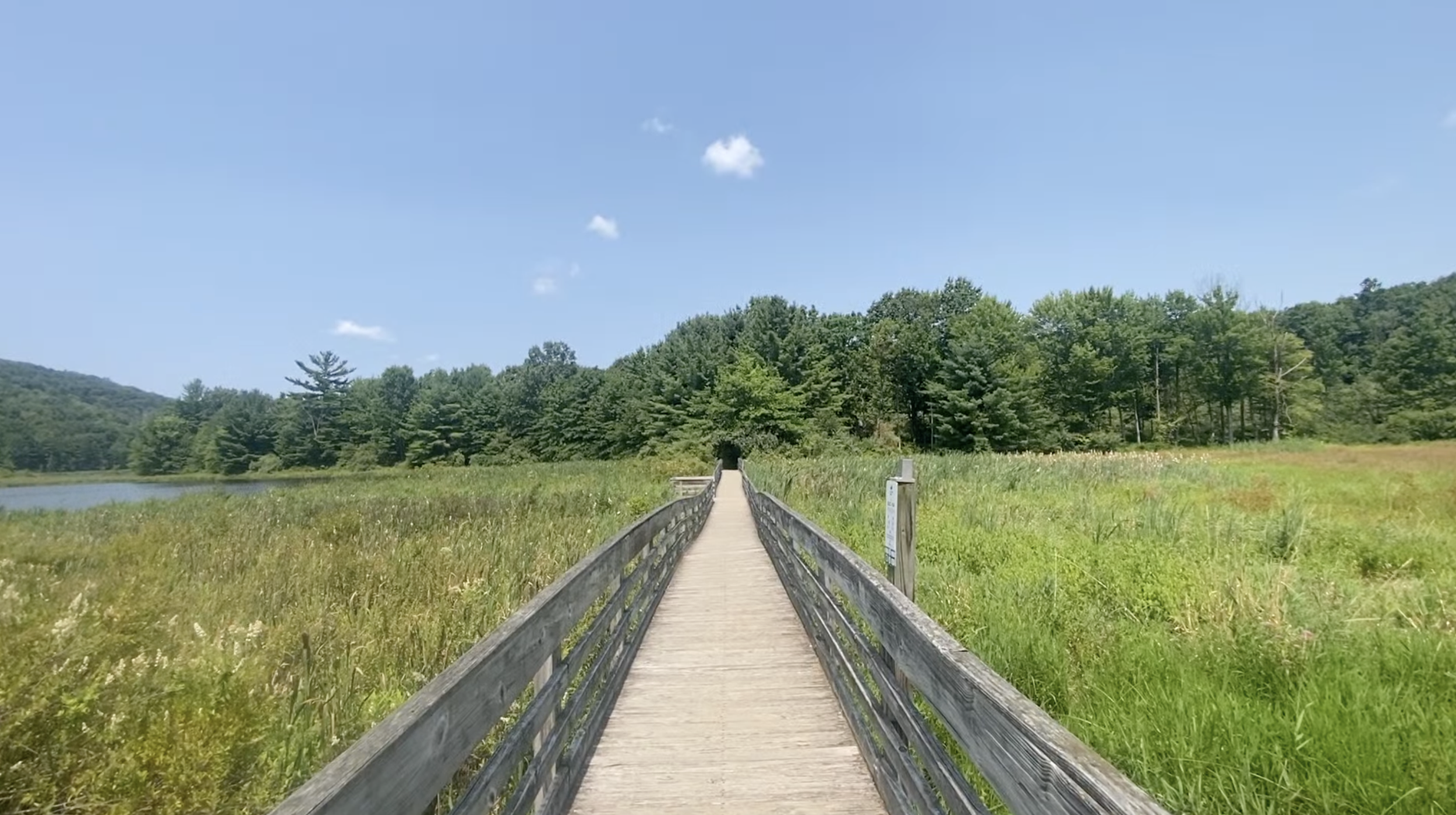 A wooden walking path surrounded by marsh.