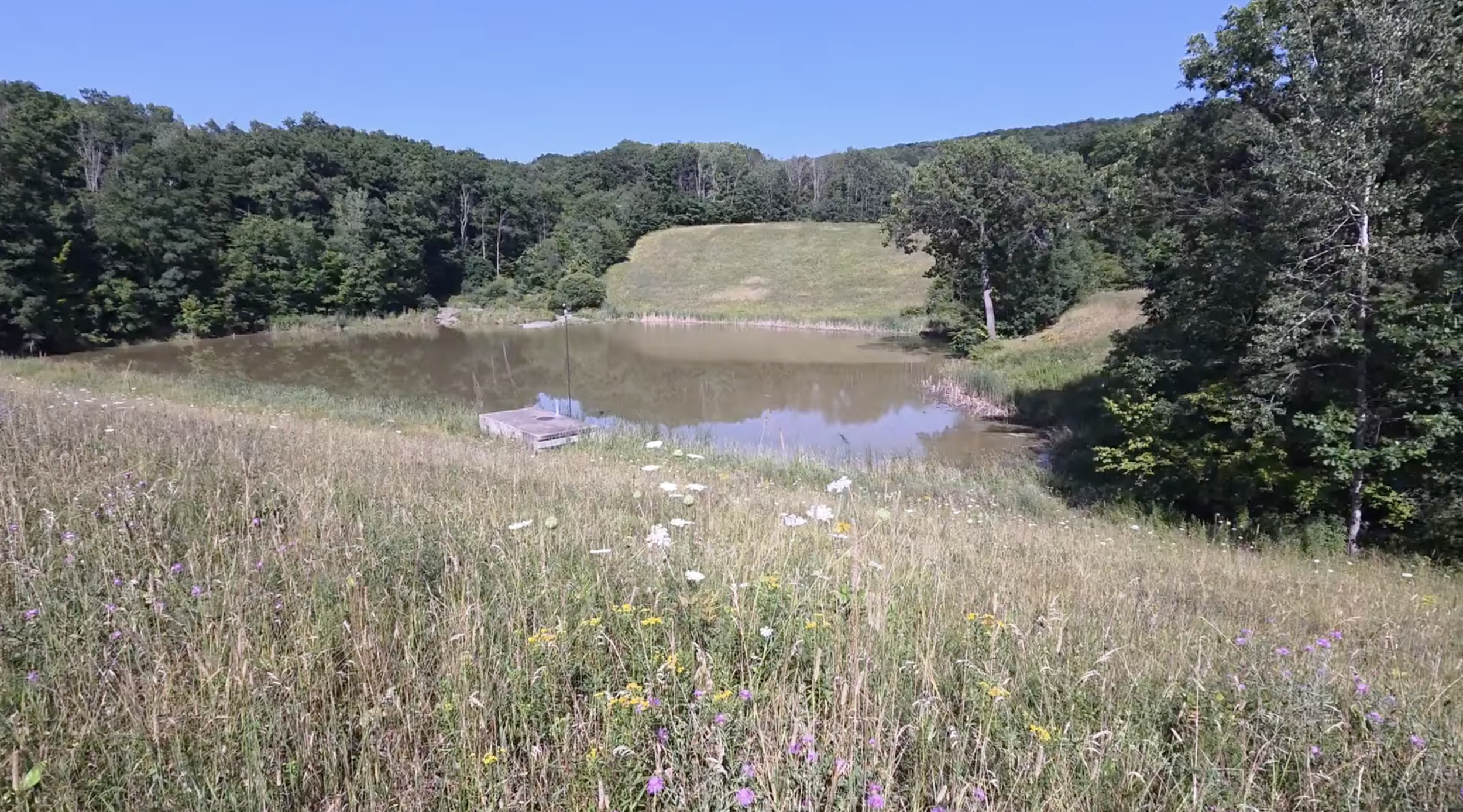A pond with a field in the background.