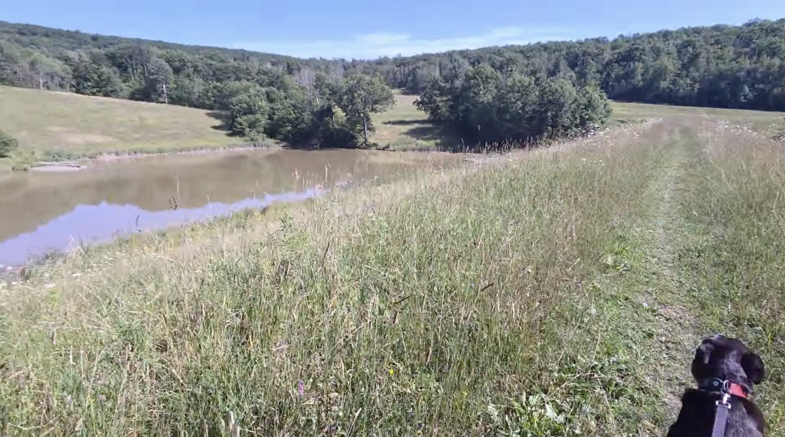 A pond with surrounded by grass fields.