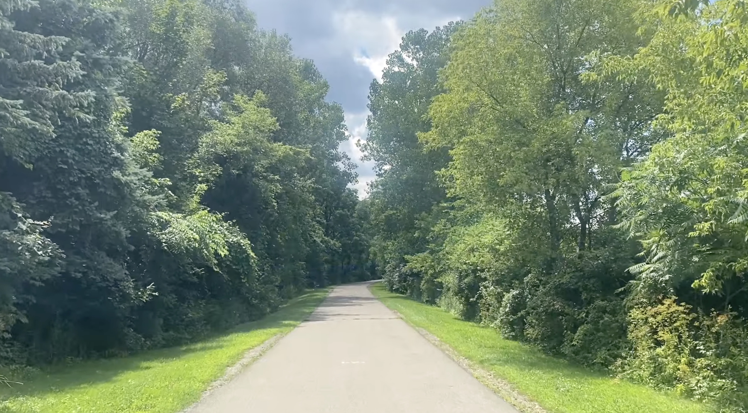 A paved walkway surrounded by trees.