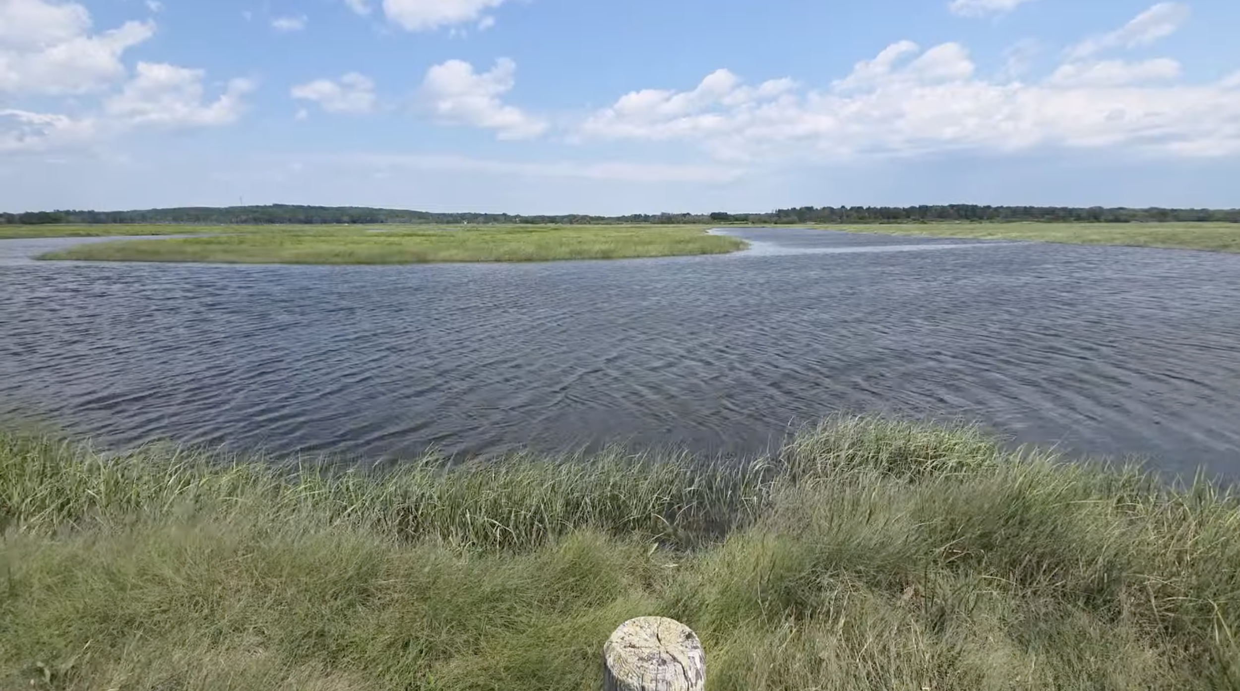 A body of water in a marshy area.