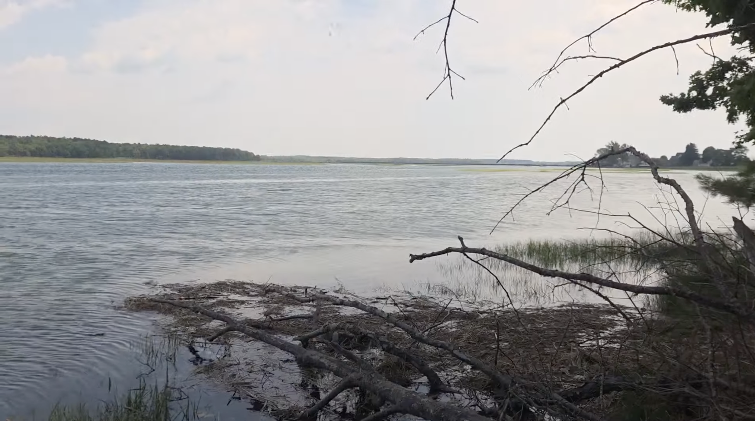Overlook of the marsh with a body of water in the foreground