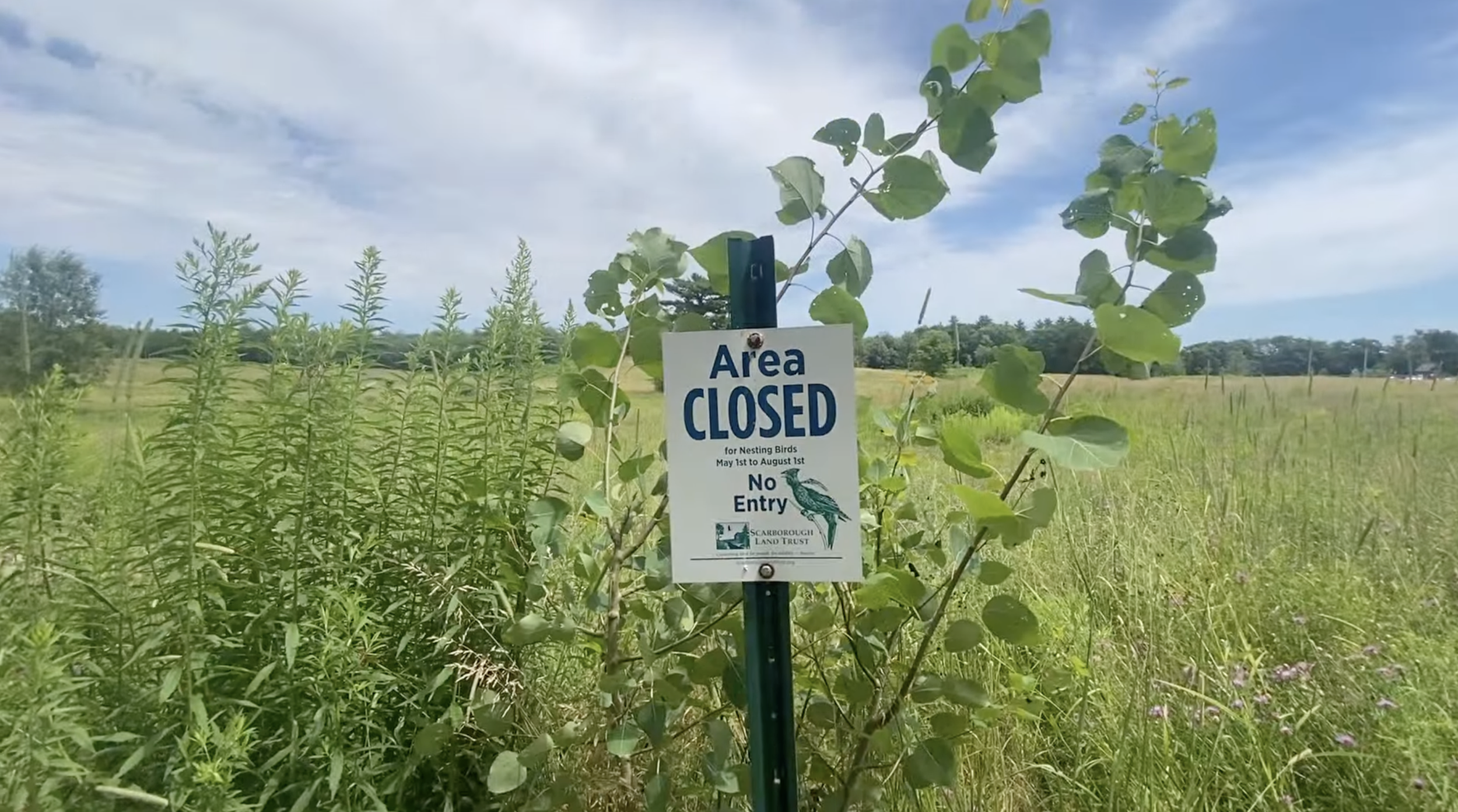 An area closed sign for "Nesting Birds" is in front of the vegetation along the trail.