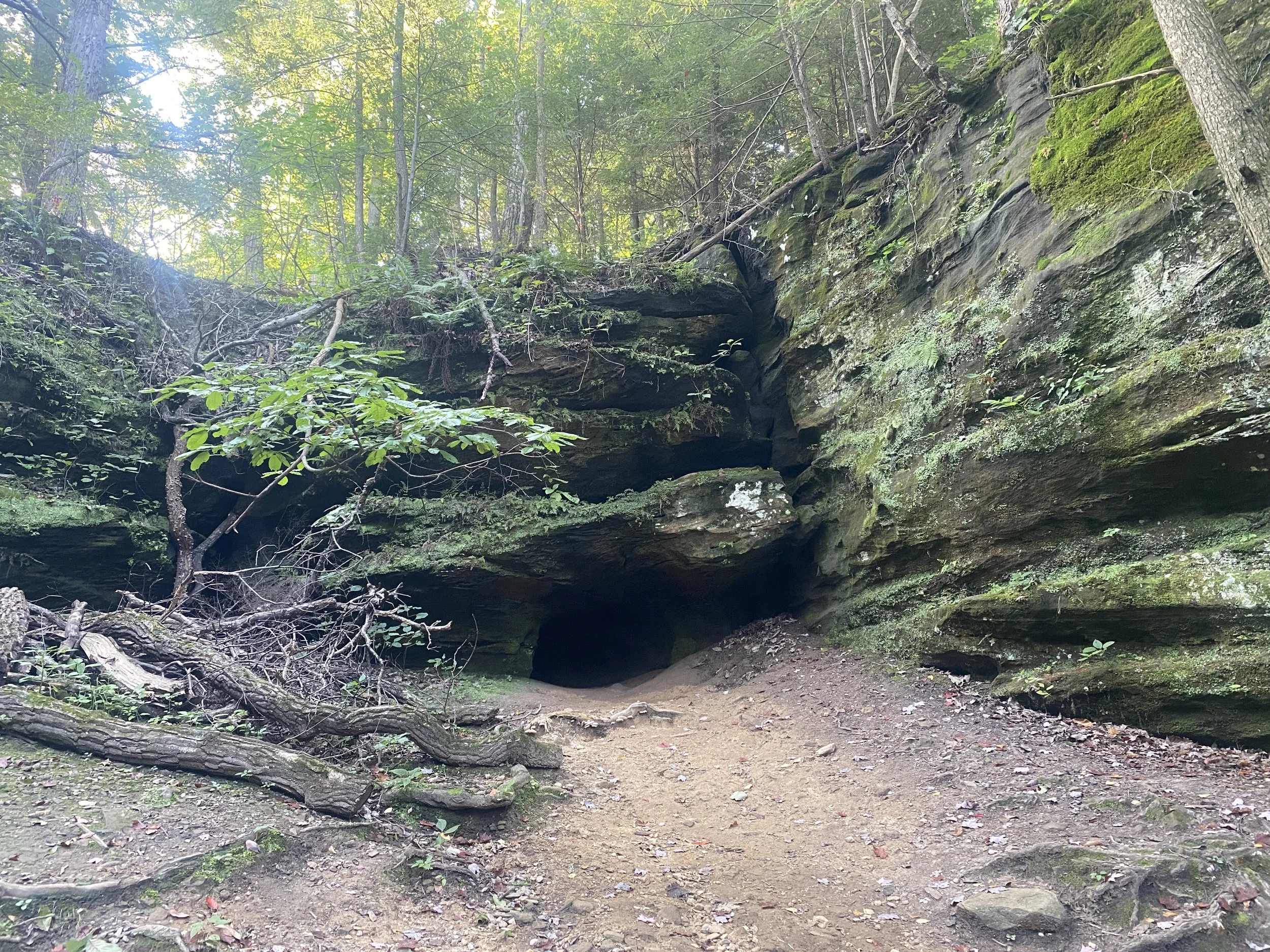 A path leading to a cave entrance