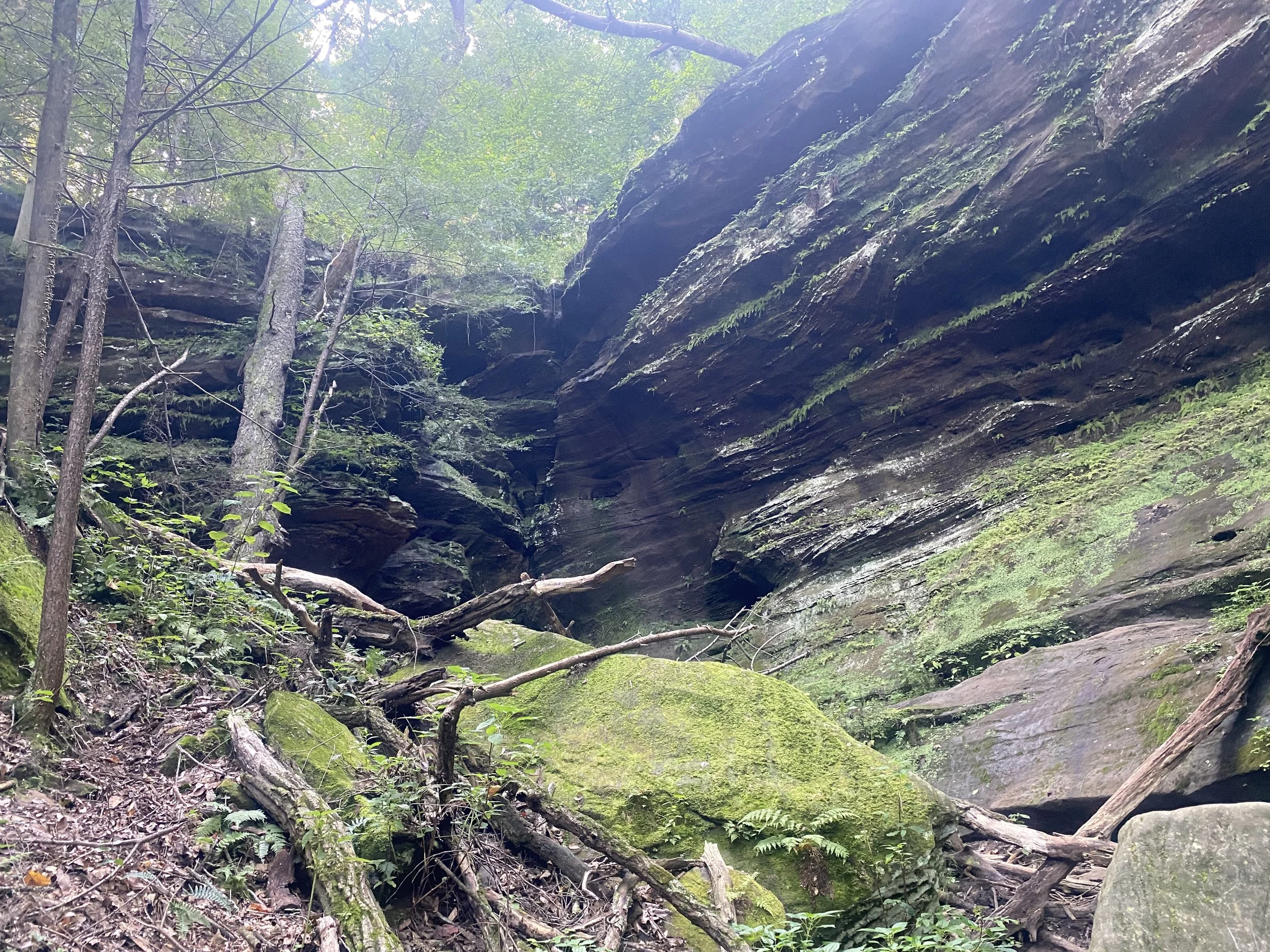 A rock covered with moss in front of a rock formation
