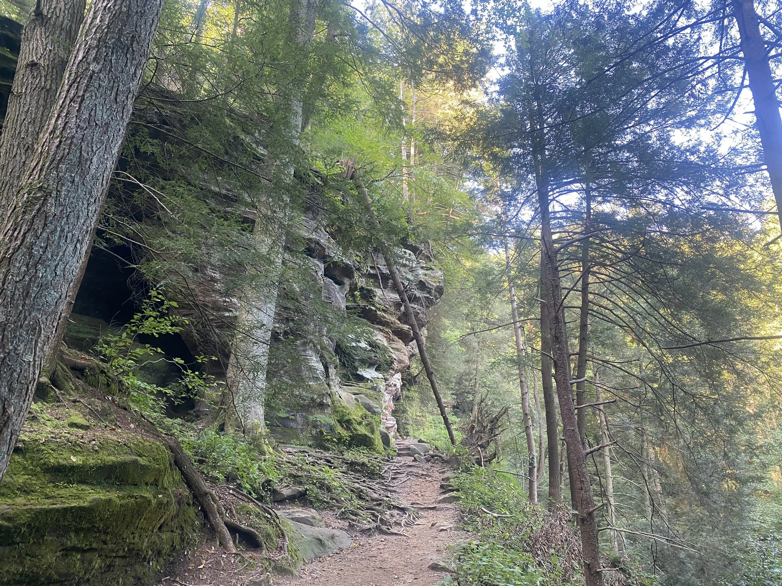 An opening to the cave surrounded by trees