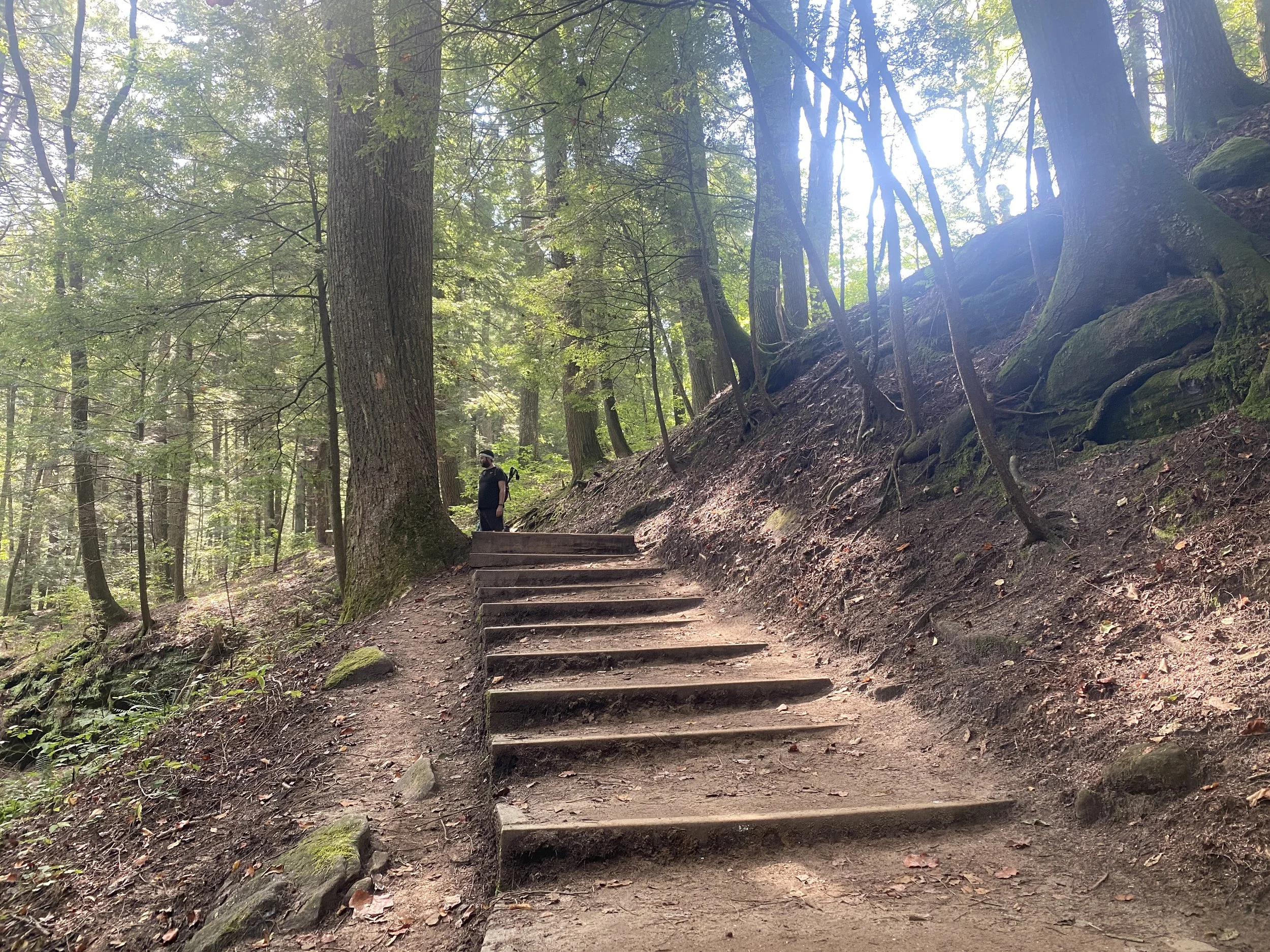 A stepped walkway leading uphill along the trail