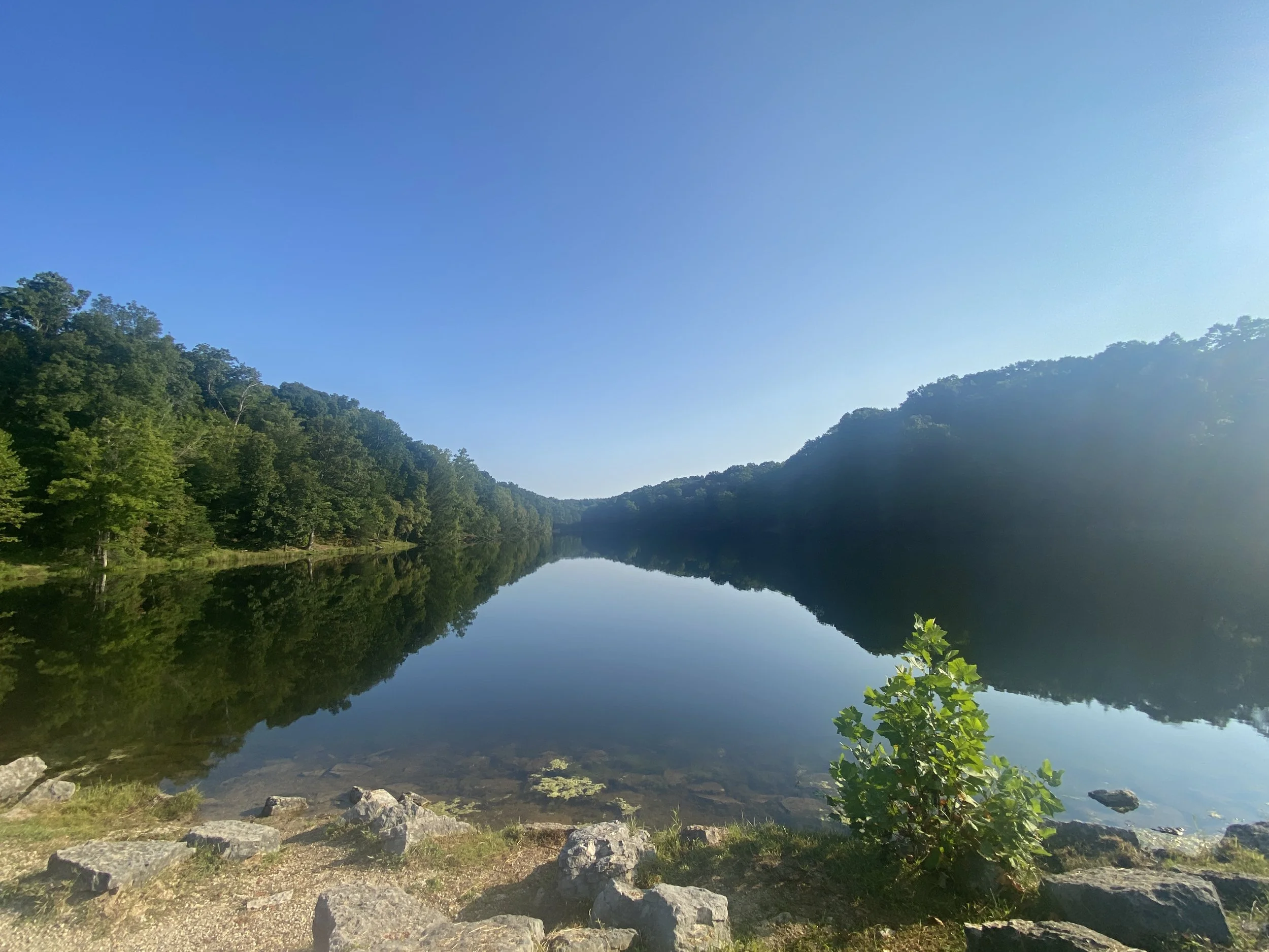 A lake surrounded by trees all around it