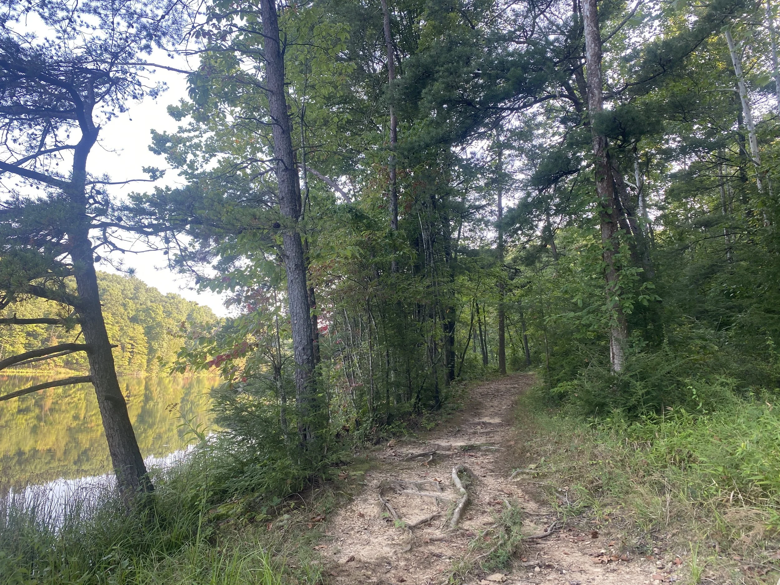 A forested pathway following along the edge of the lake