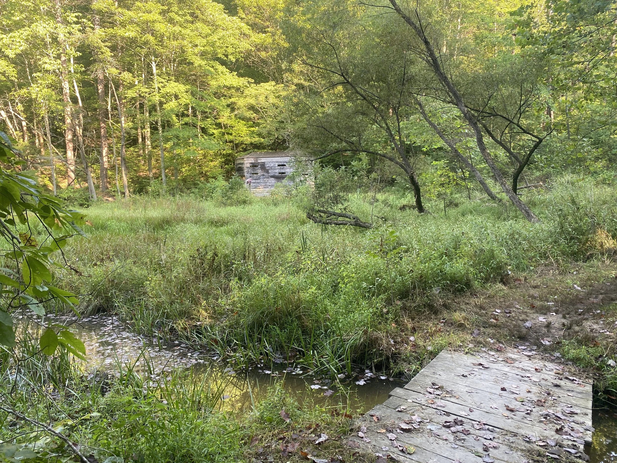 A wooden pathway heading over a creek
