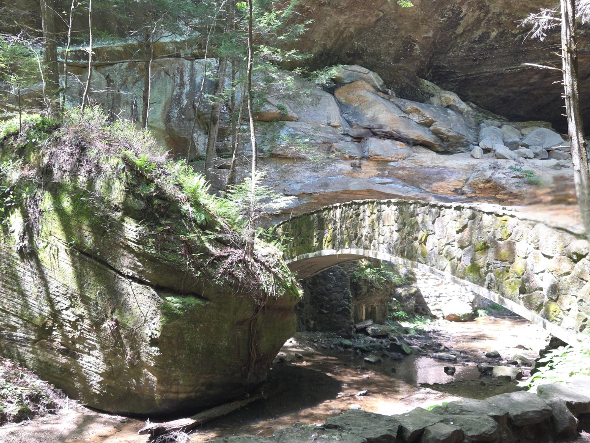 A rock with several trees growing out of it next to a walking bridge