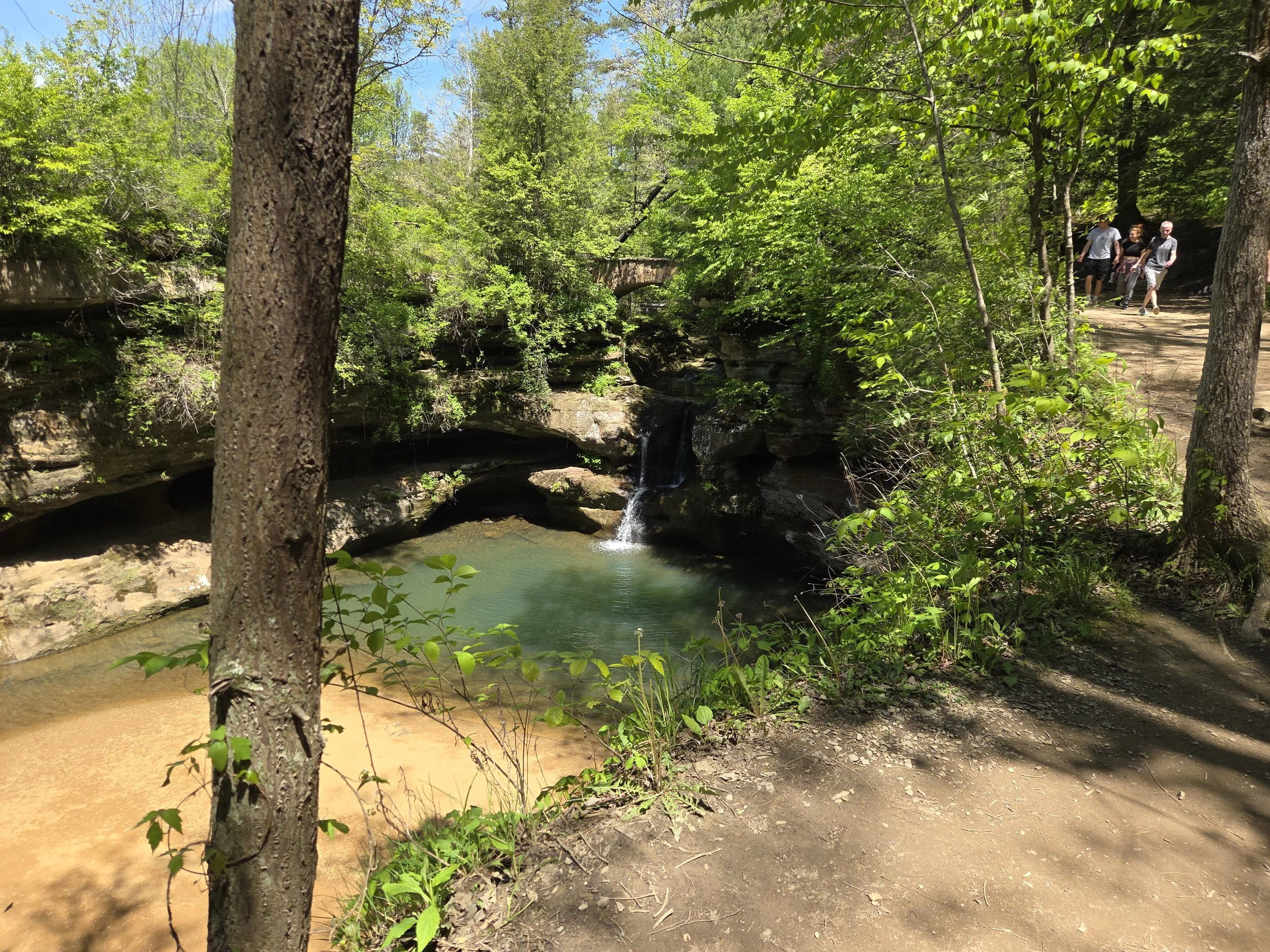A waterfall viewed from a higher vantage point