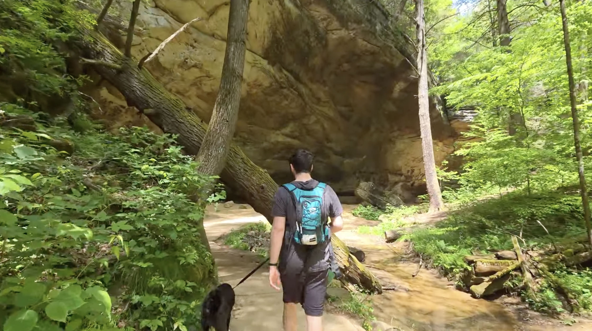 A man with a dog walking along the hiking path under a large rock