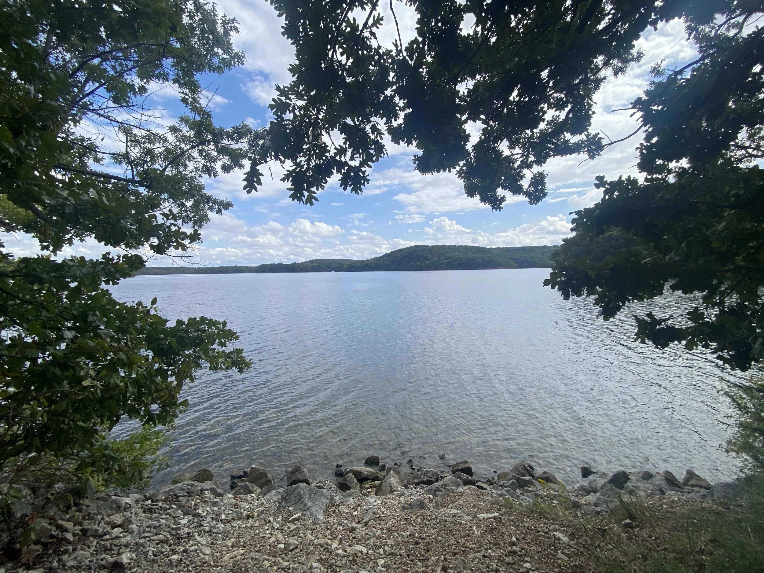 A lake with rocks leading down to it, surrounded by tree branches.