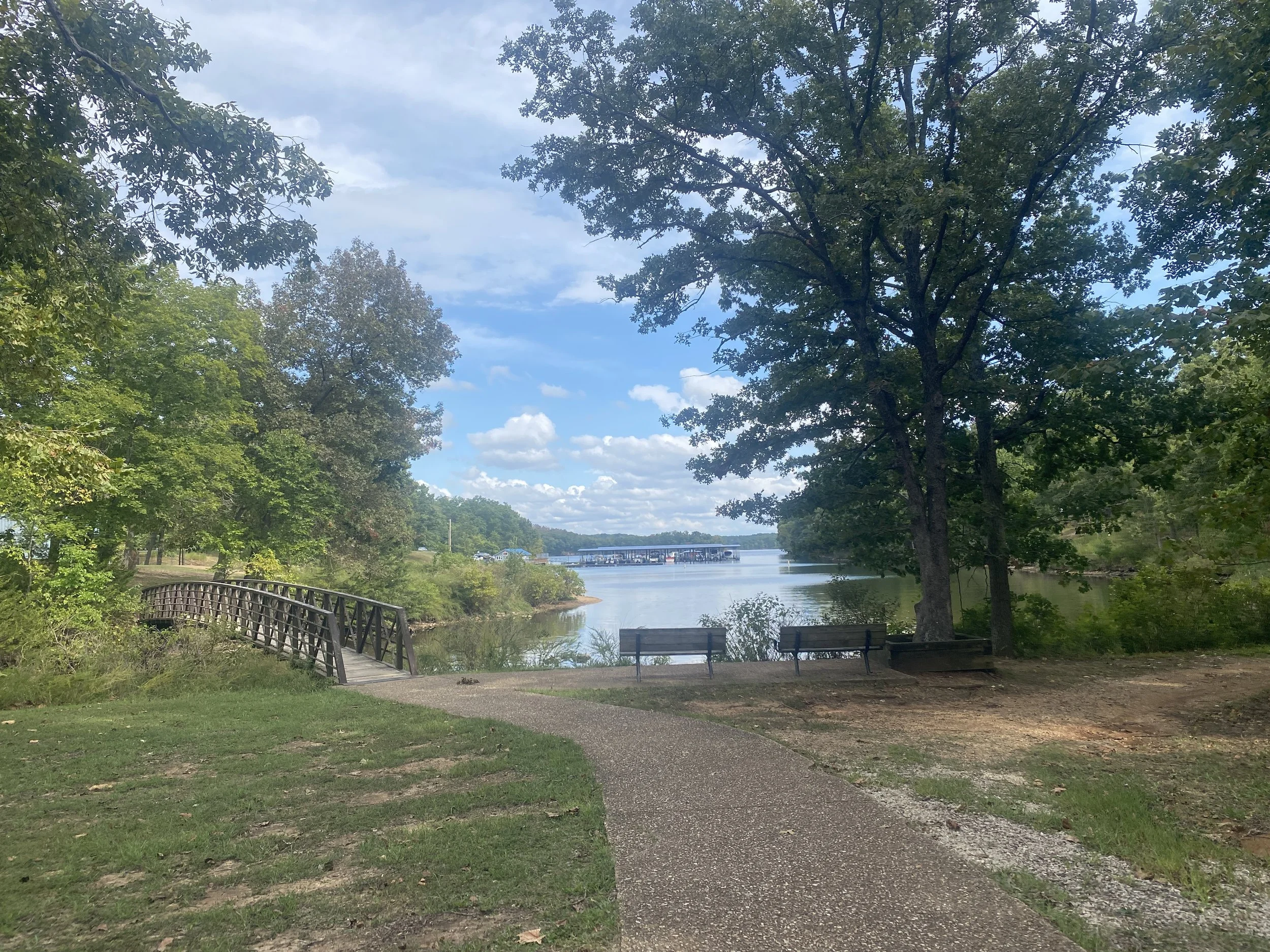A walking path leading to a lake.