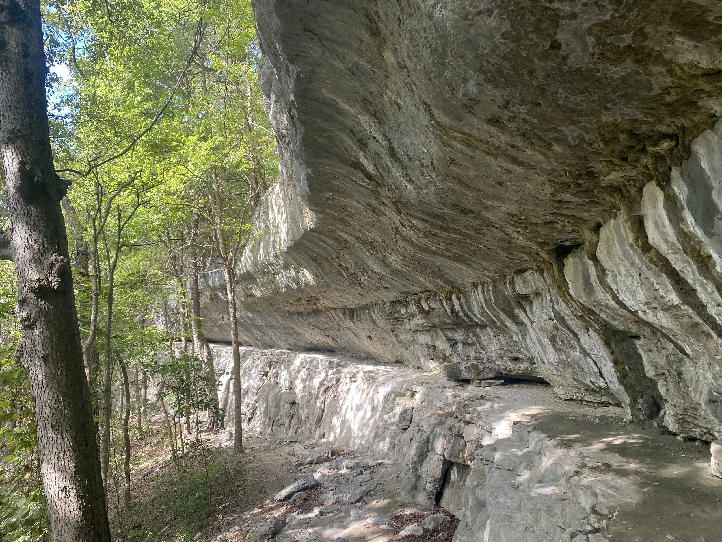 A walking path along a stone cliff adjacent to a walking path along the ground.