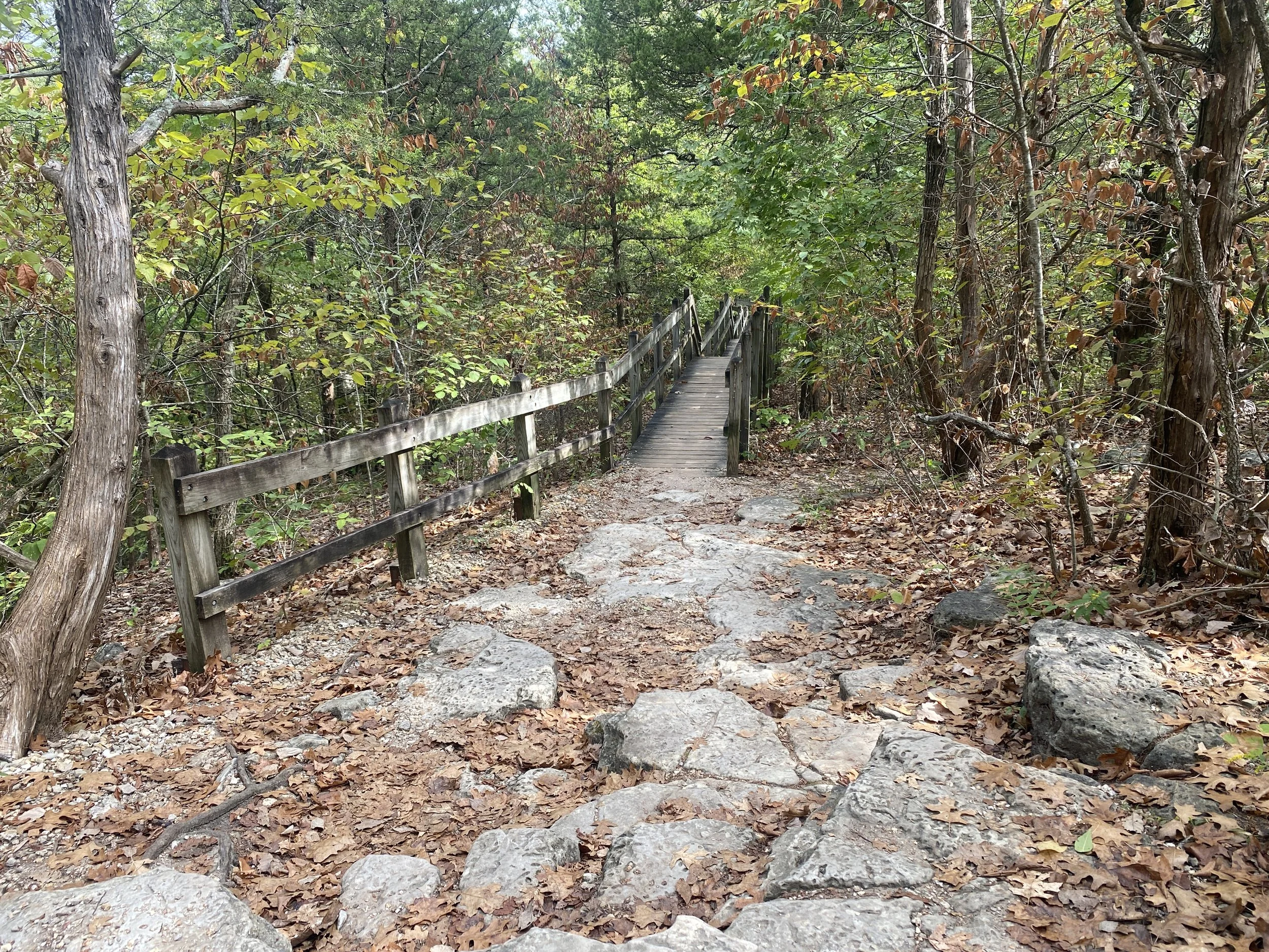 A stone pathway leading to a wooden bridge down into the forest.