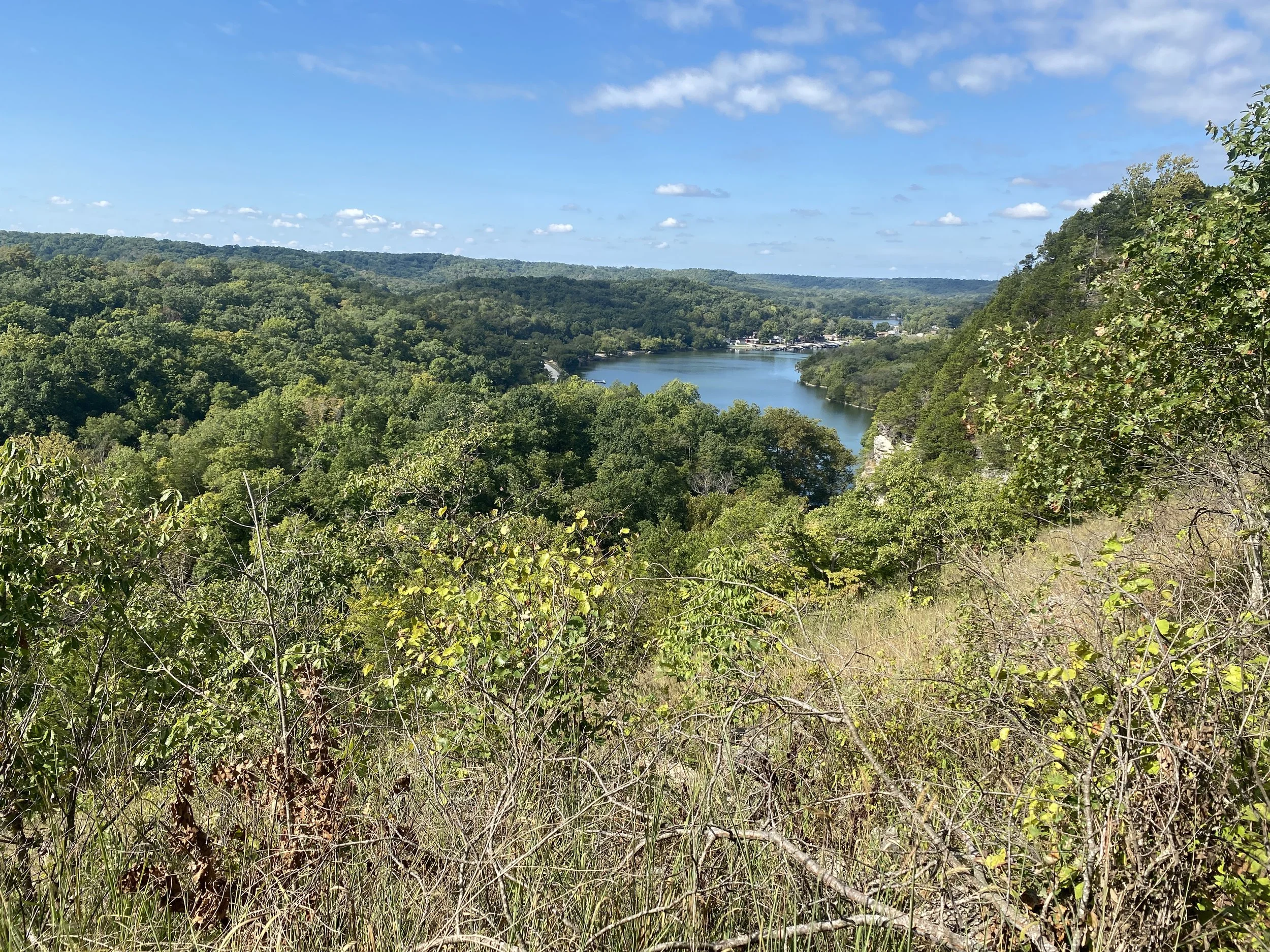 A lake is surrounded by trees while viewed from a heigher viewpoint.
