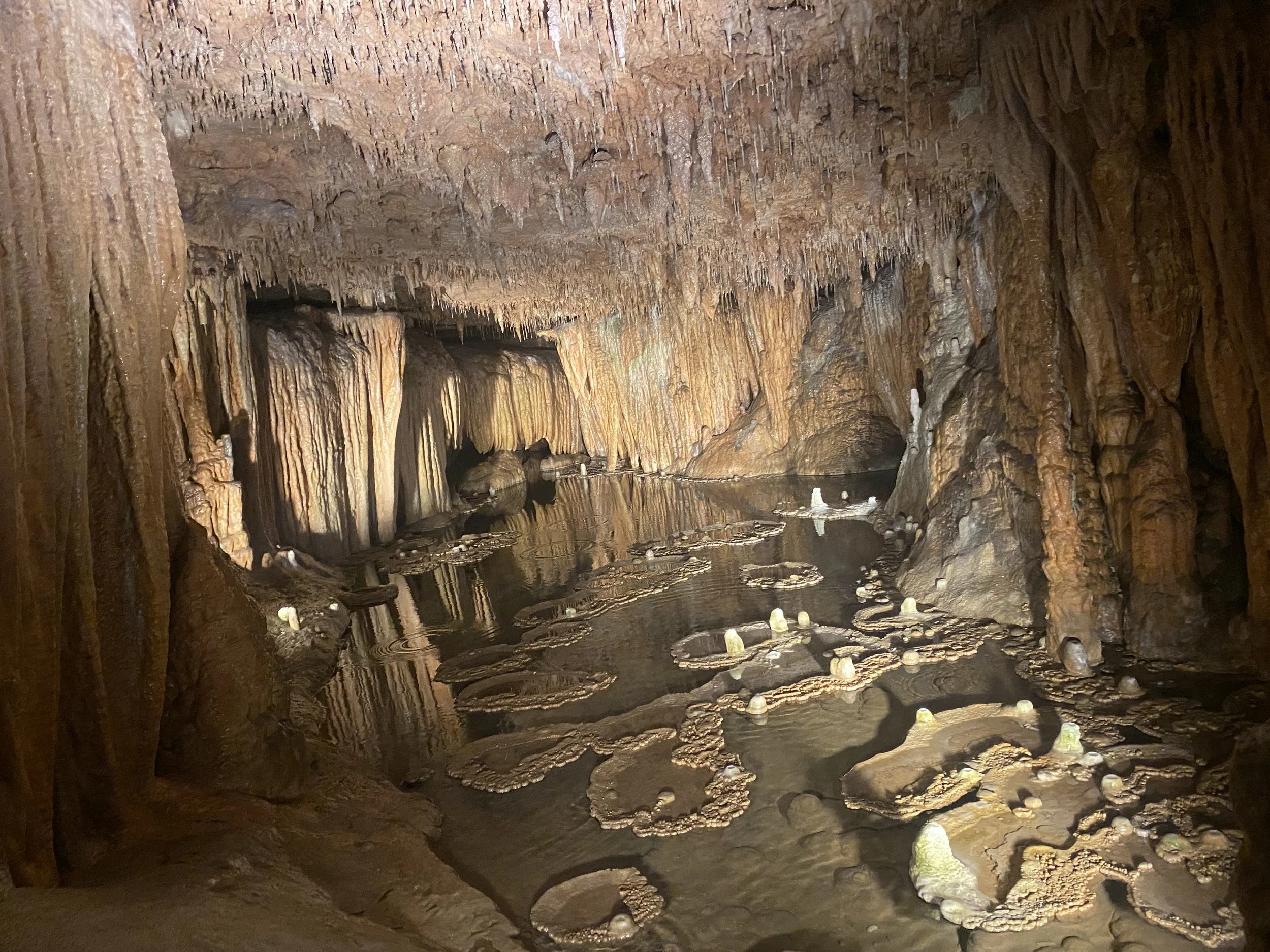 In a cave, lily pad like rock formations in the water with stalactites in the background